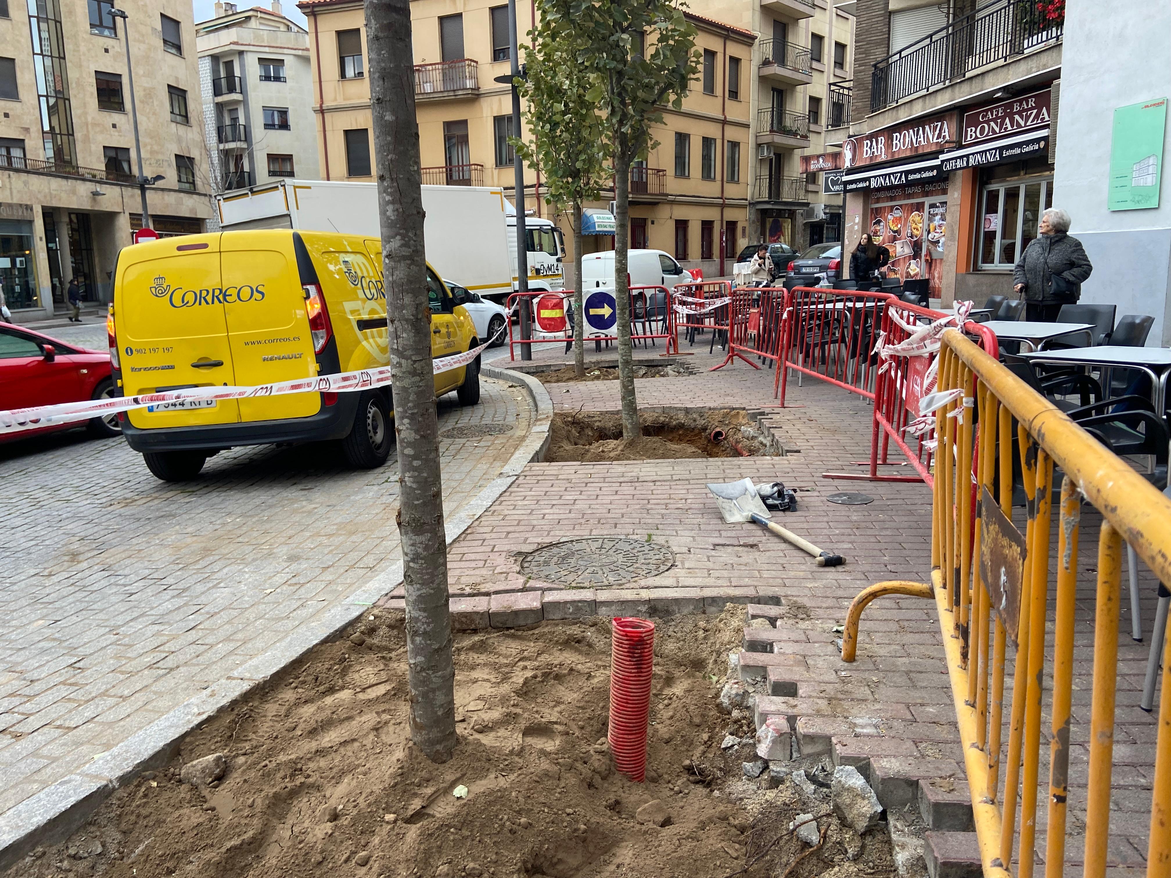 Los árboles están listos para brotar tras la polémica de su retirada hace menos de un mes en la plaza del Oeste