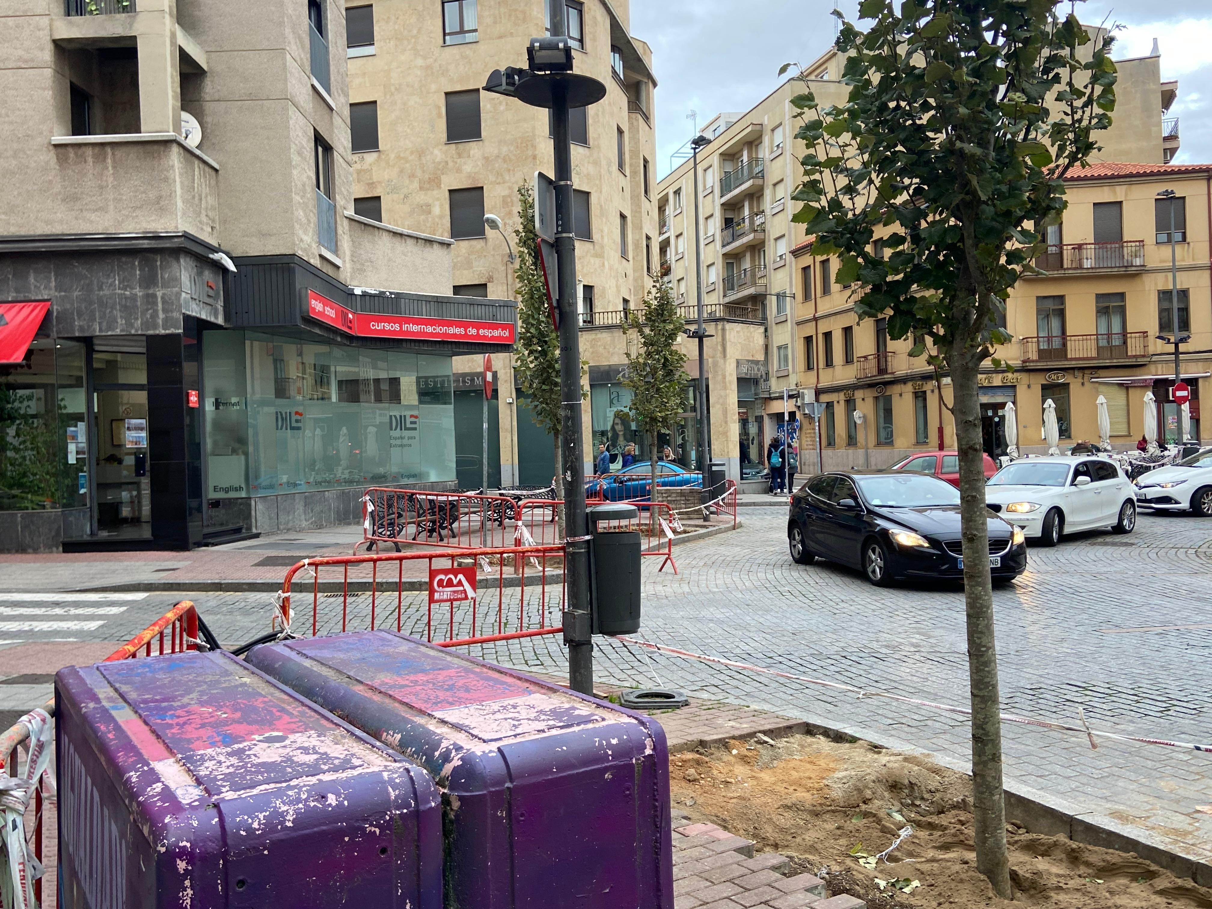 Los árboles están listos para brotar tras la polémica de su retirada hace menos de un mes en la plaza del Oeste