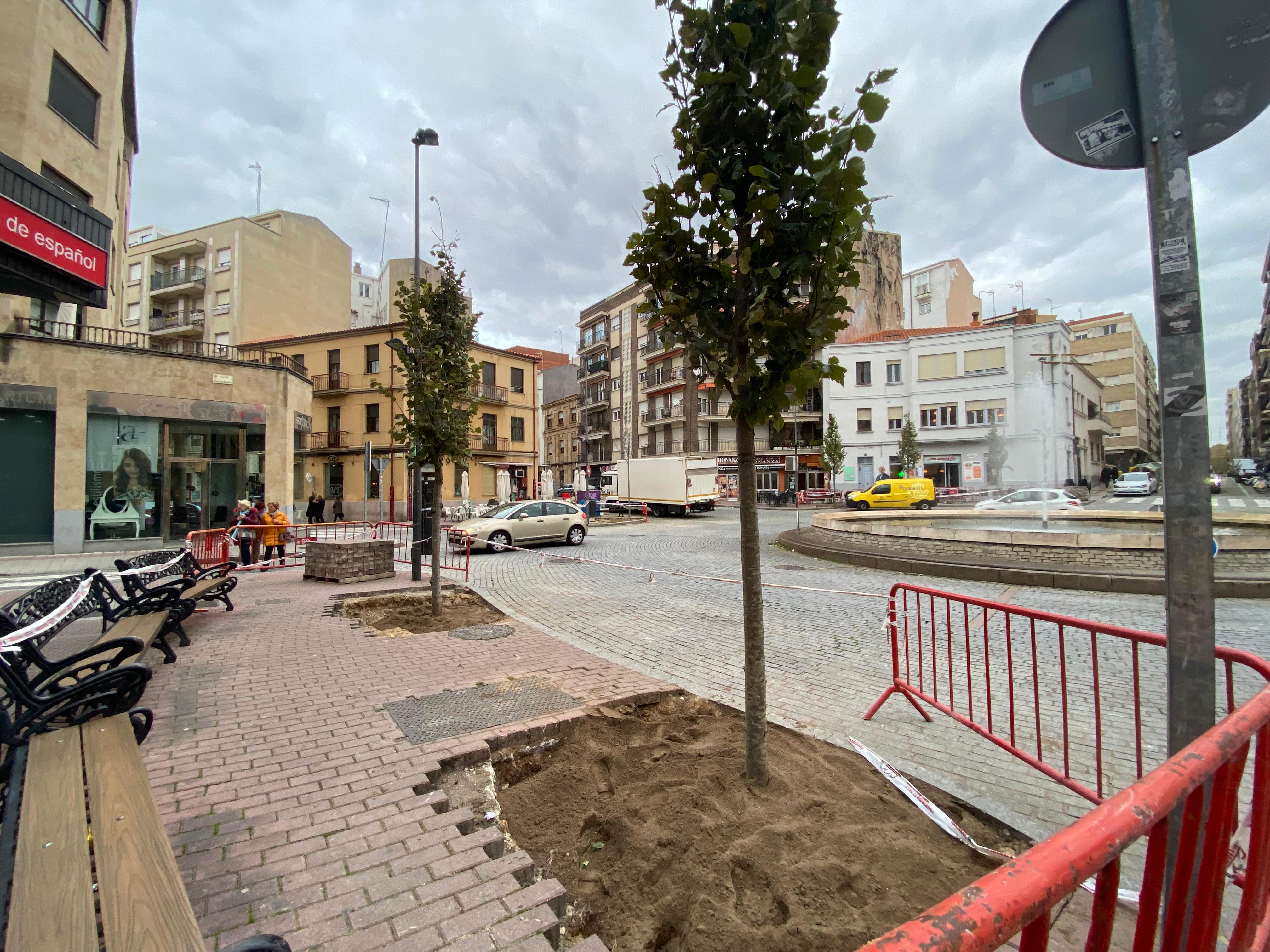 Los árboles están listos para brotar tras la polémica de su retirada hace menos de un mes en la plaza del Oeste