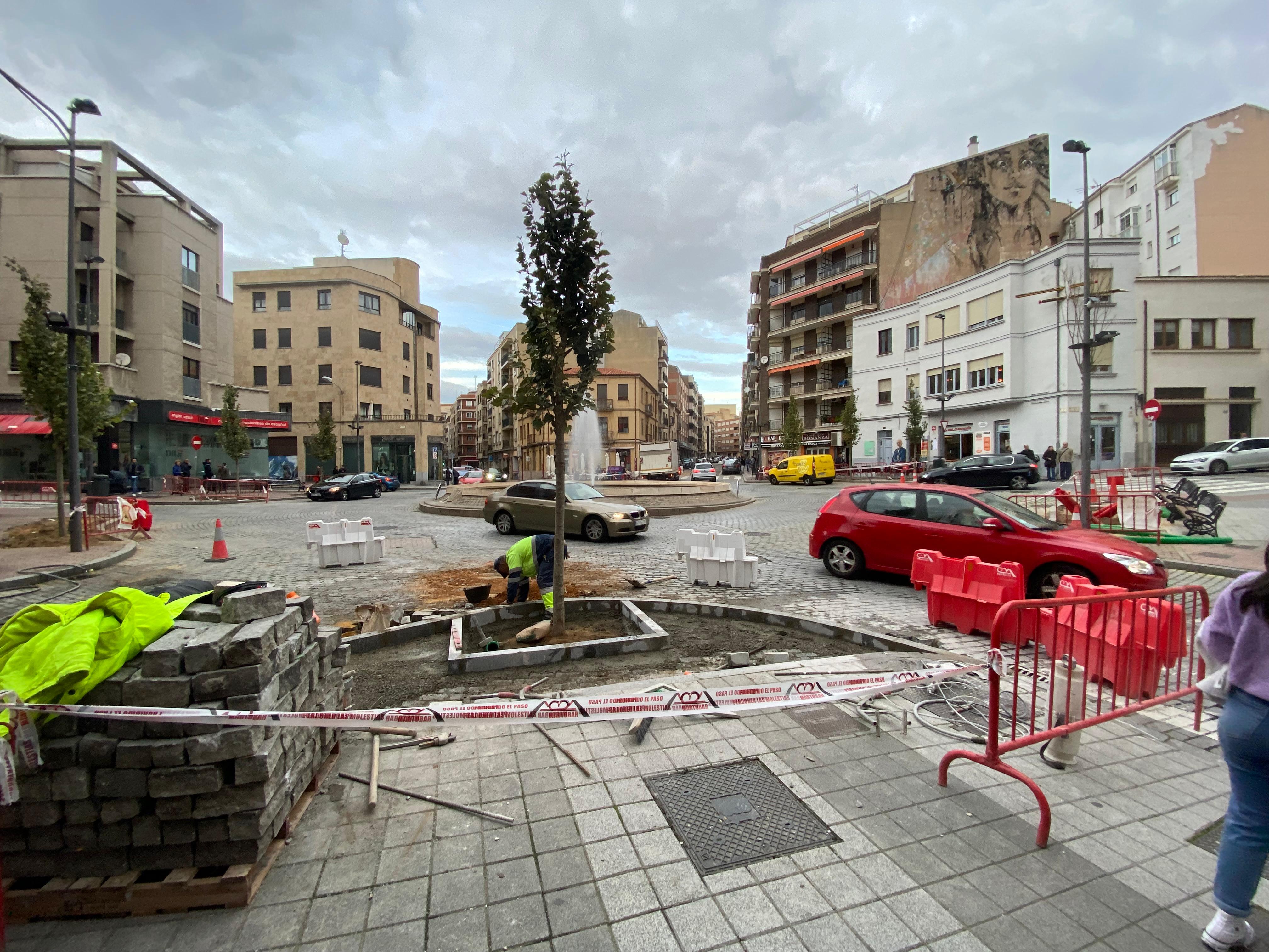 Los árboles están listos para brotar tras la polémica de su retirada hace menos de un mes en la plaza del Oeste