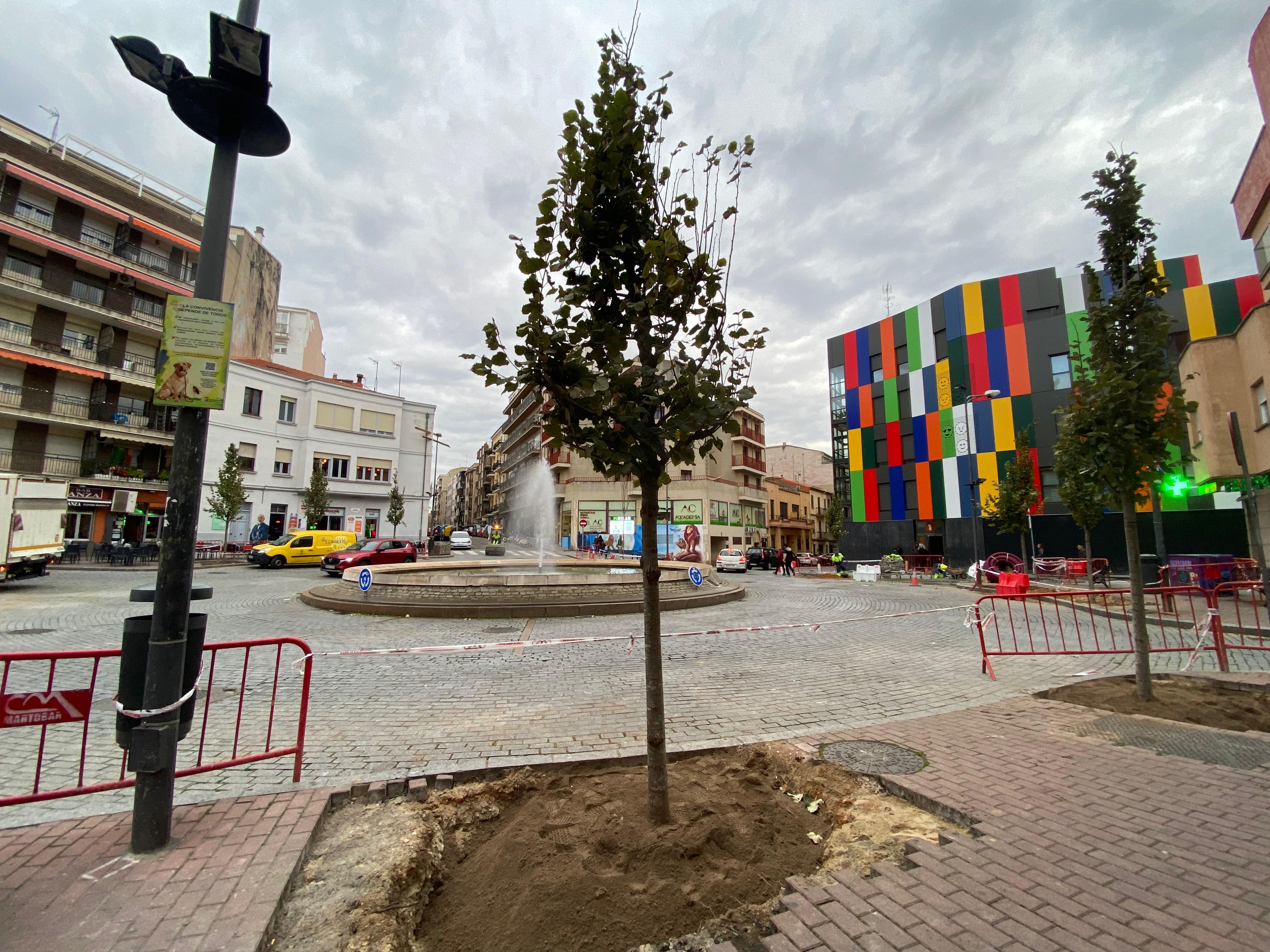 Los árboles están listos para brotar tras la polémica de su retirada hace menos de un mes en la plaza del Oeste