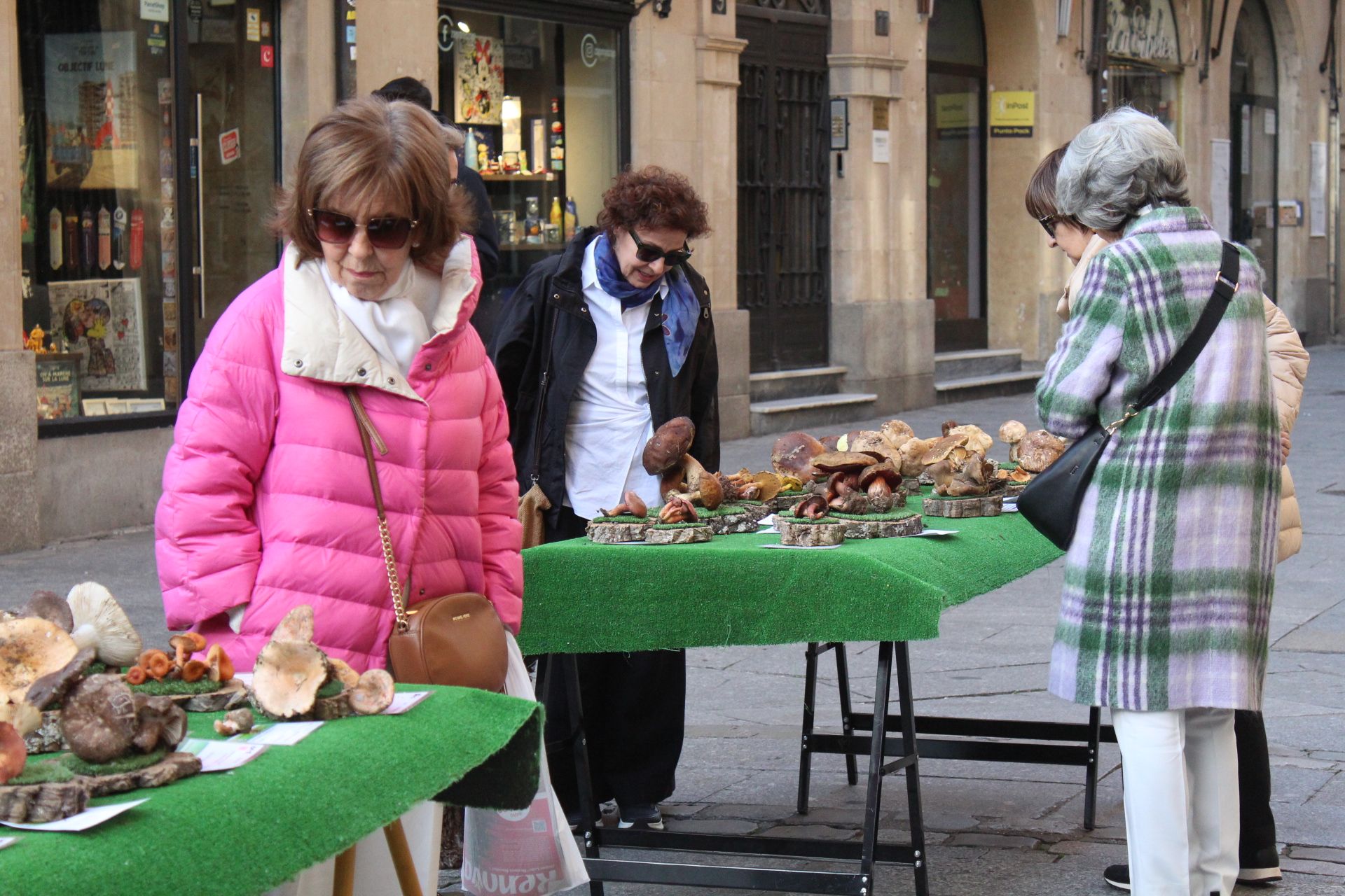 Especies de setas recolectadas por la Asociación Lazarillo