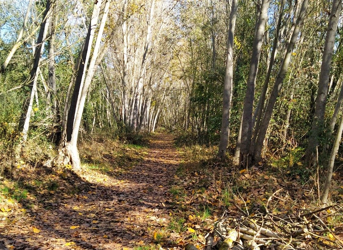 Camino de la Aceña de Alba de Tormes