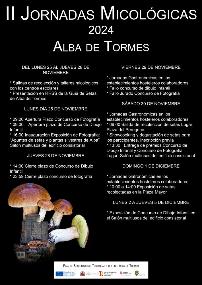 Jornadas setas Alba de Tormes