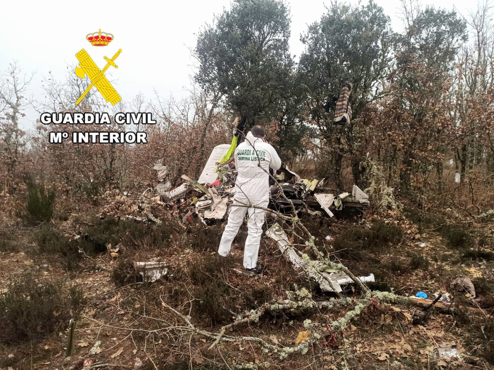 El Servicio de Investigación de Accidentes Aéreos analiza las causas del siniestro en León. Foto Guardia Civil | ICAL