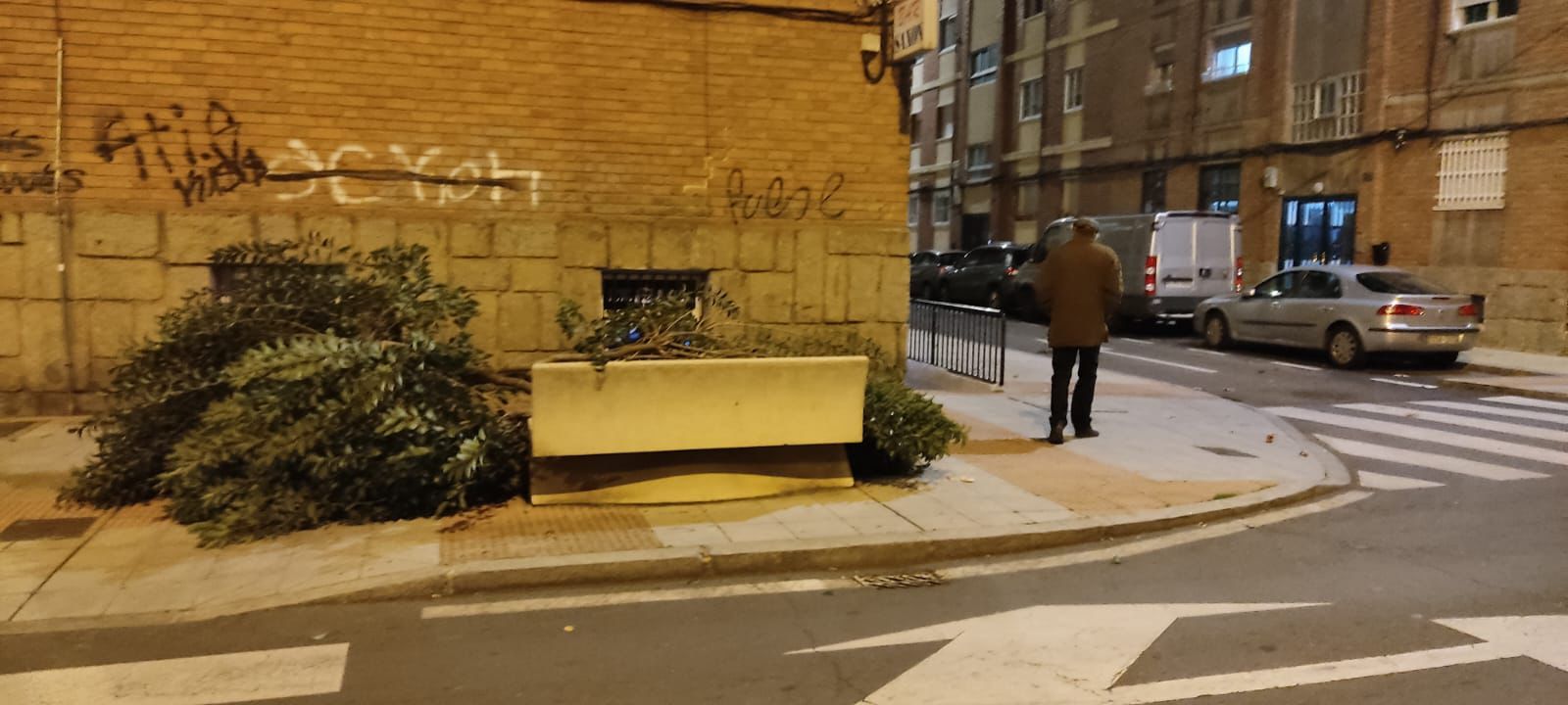 Caída  de un árbol en la calle Acacias por las fuertes rachas de viento