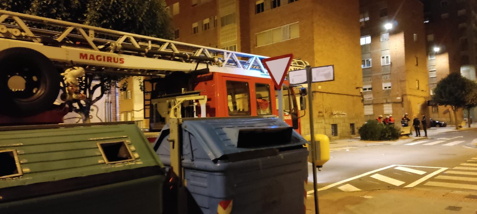 Caída de un árbol en la calle Acacias por las fuertes rachas de viento