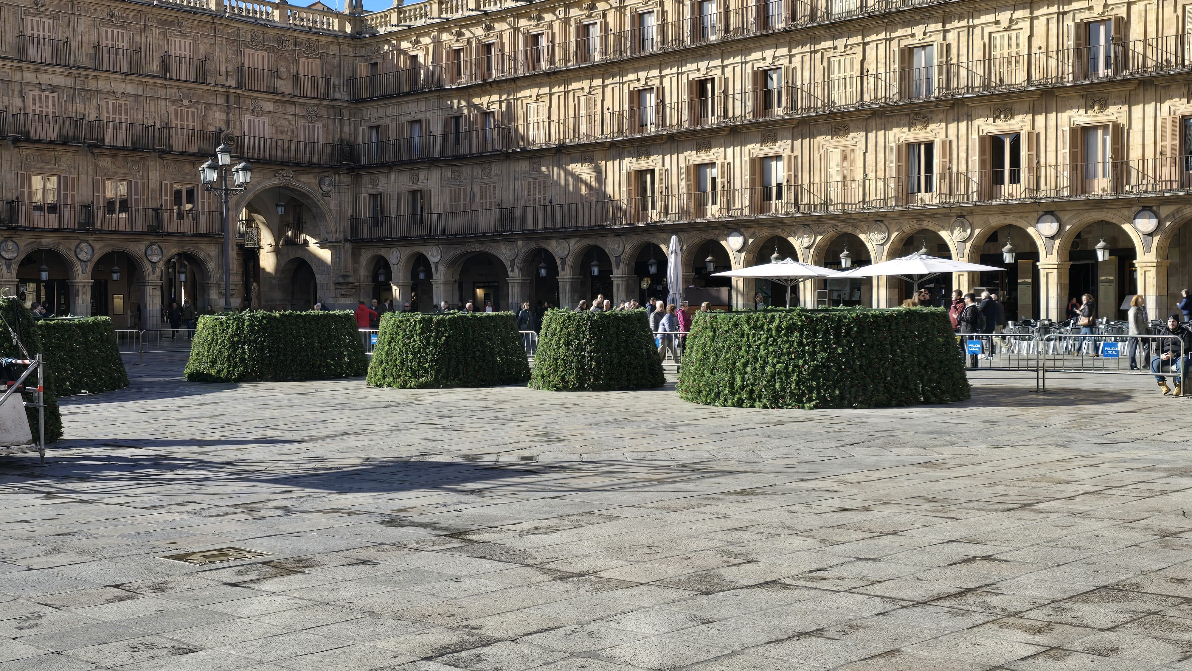 Comienzan a instalar el árbol de Navidad en la Plaza Mayor 