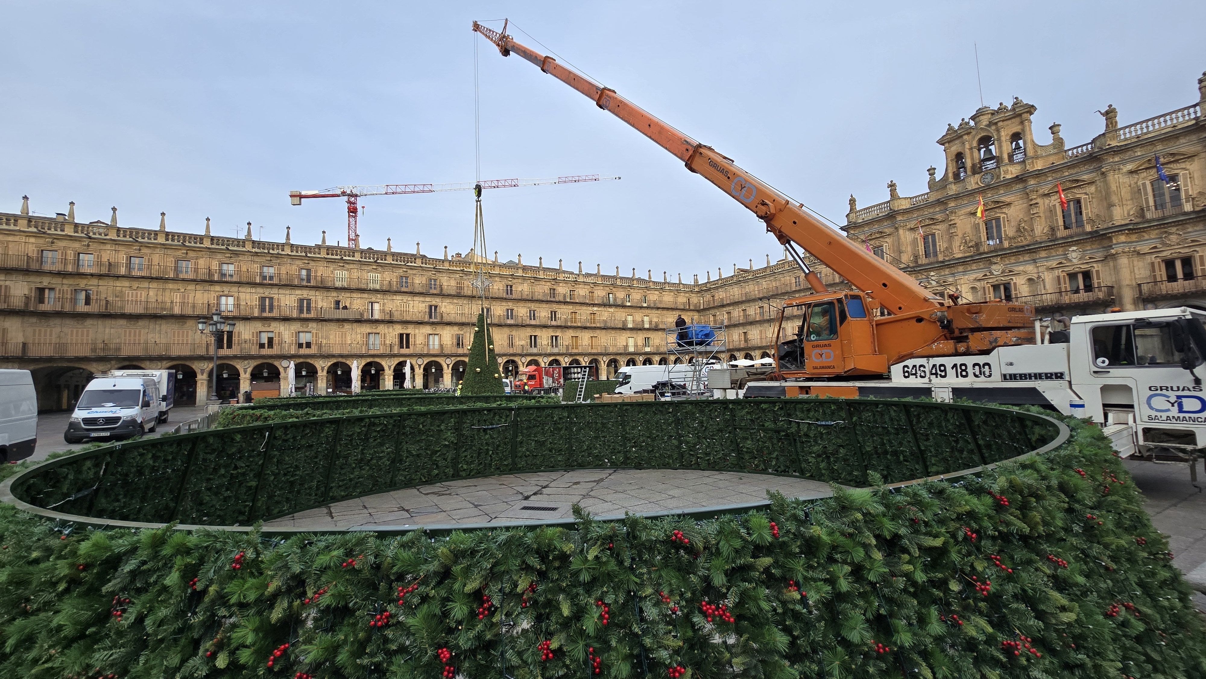 Día 2 instalando el árbol de Navidad en la Plaza Mayor 