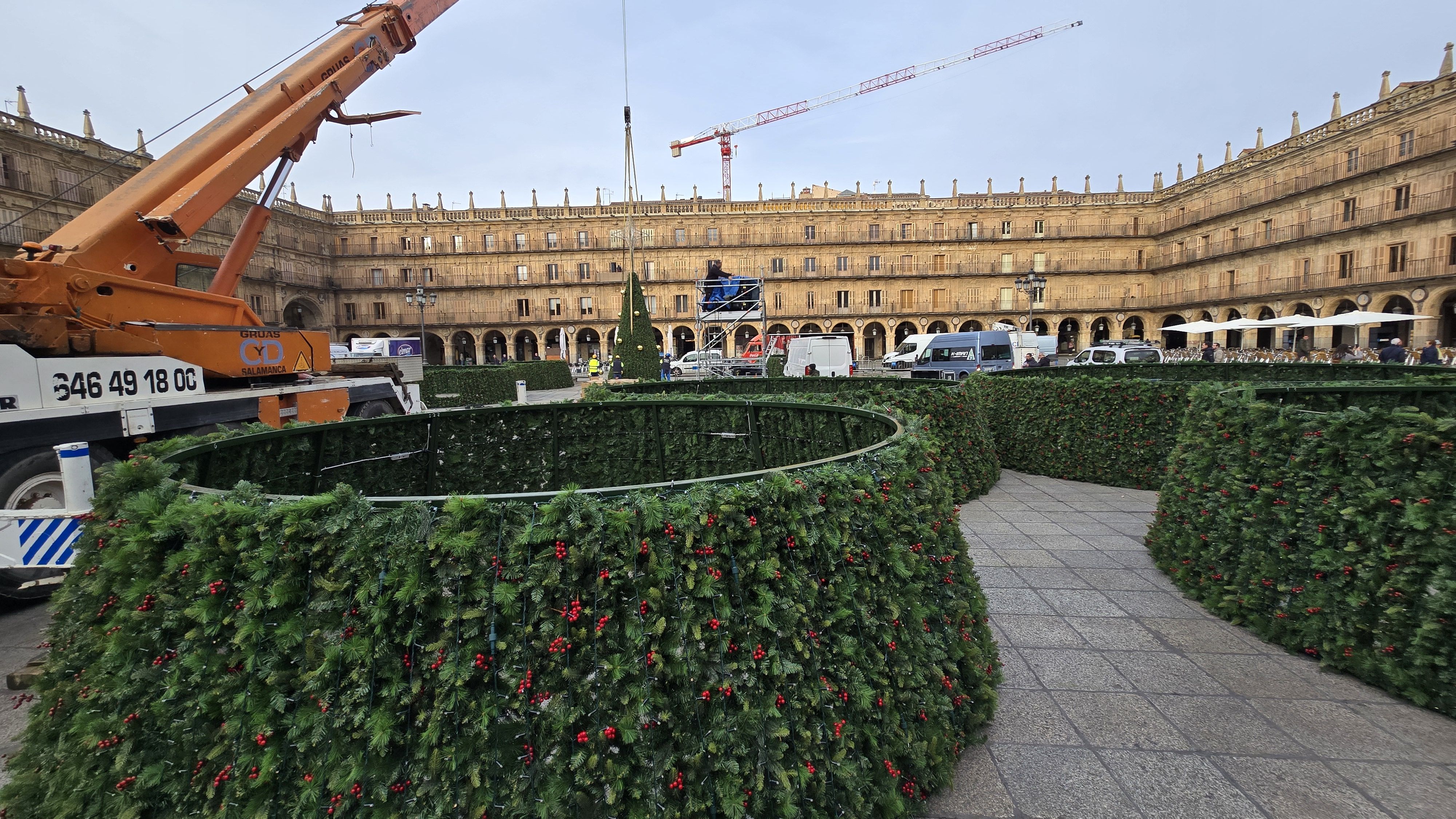 Día 2 instalando el árbol de Navidad en la Plaza Mayor 