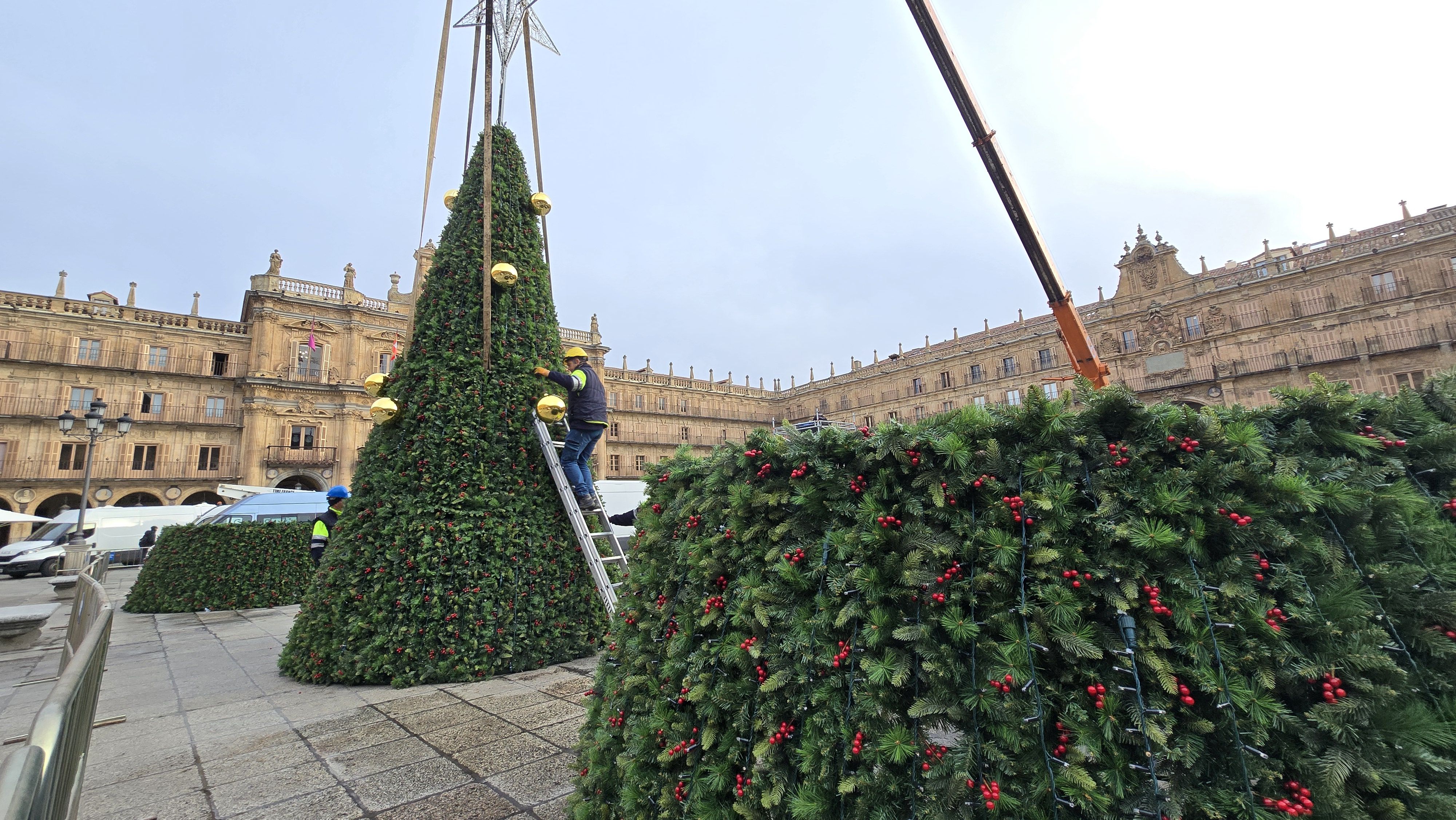 Día 2 instalando el árbol de Navidad en la Plaza Mayor 