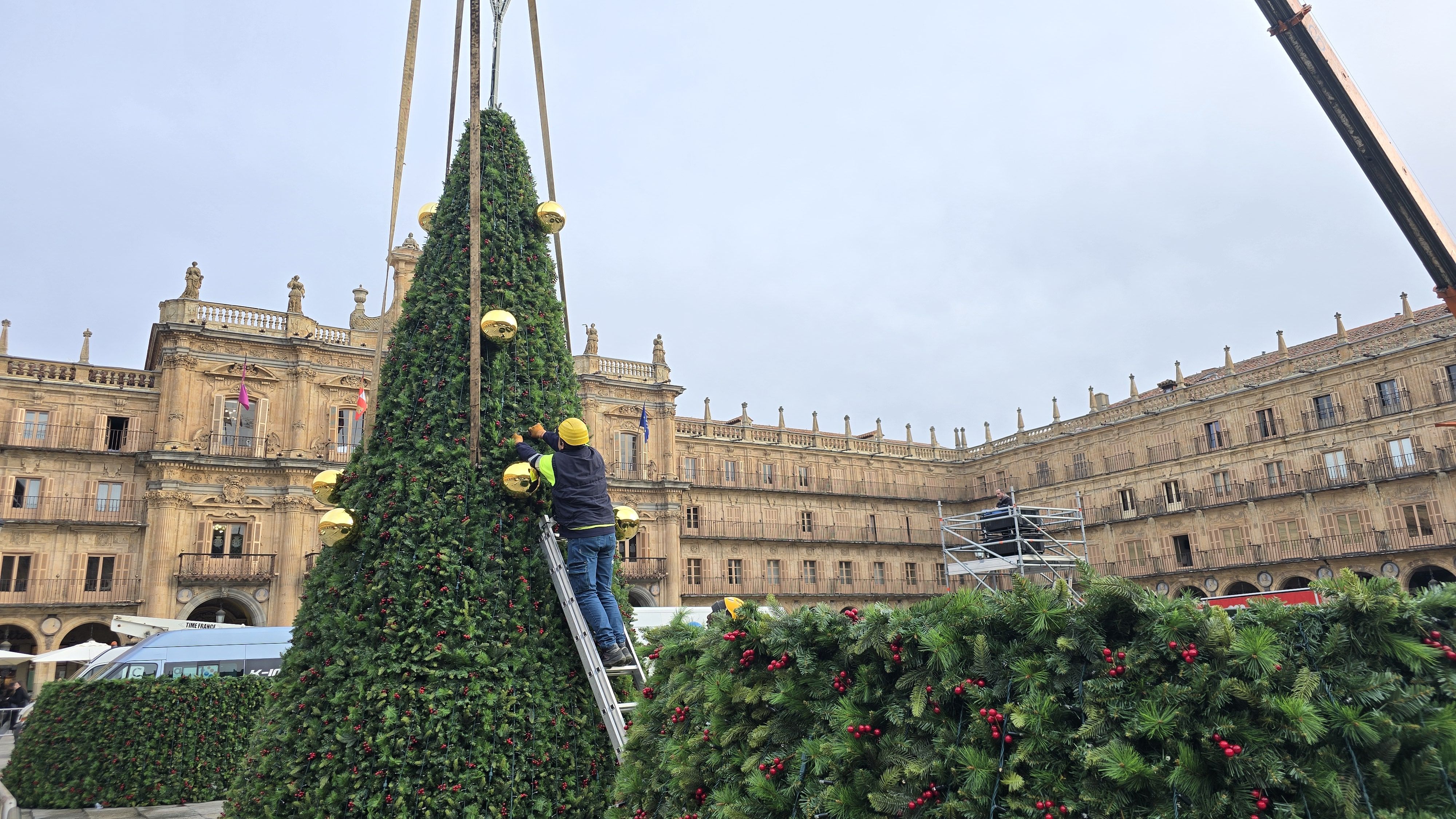 Día 2 instalando el árbol de Navidad en la Plaza Mayor 