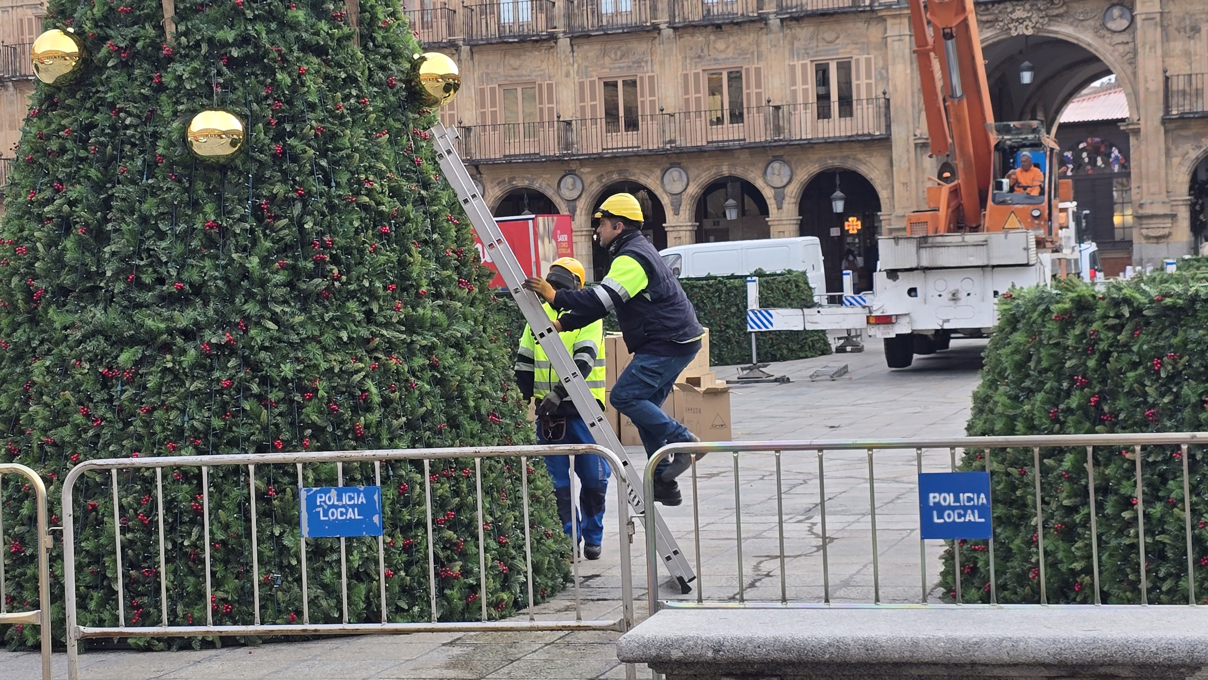 Día 2 instalando el árbol de Navidad en la Plaza Mayor 