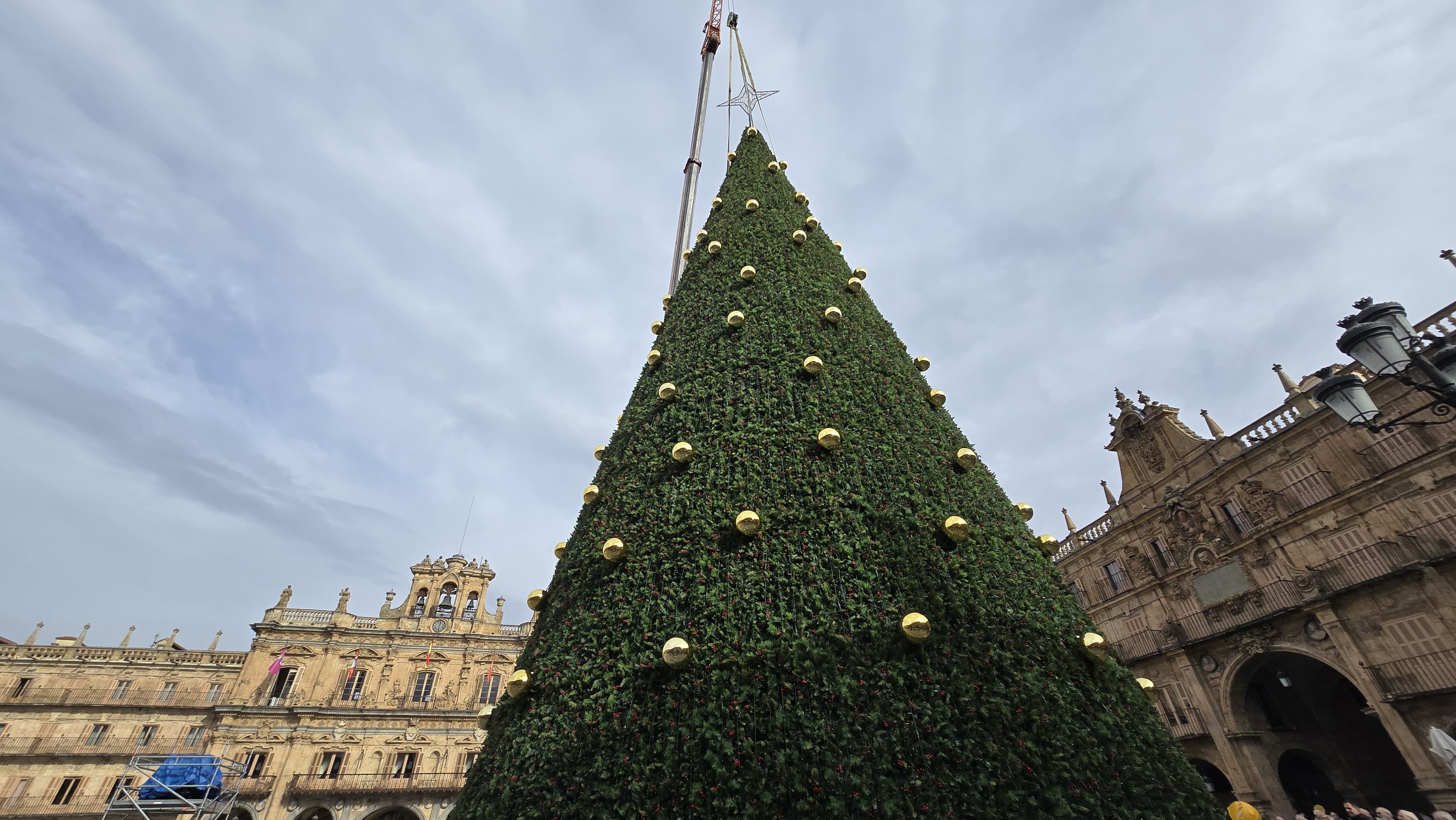 GALERÍA | El enorme árbol de Navidad ya viste la Plaza Mayor de Salamanca