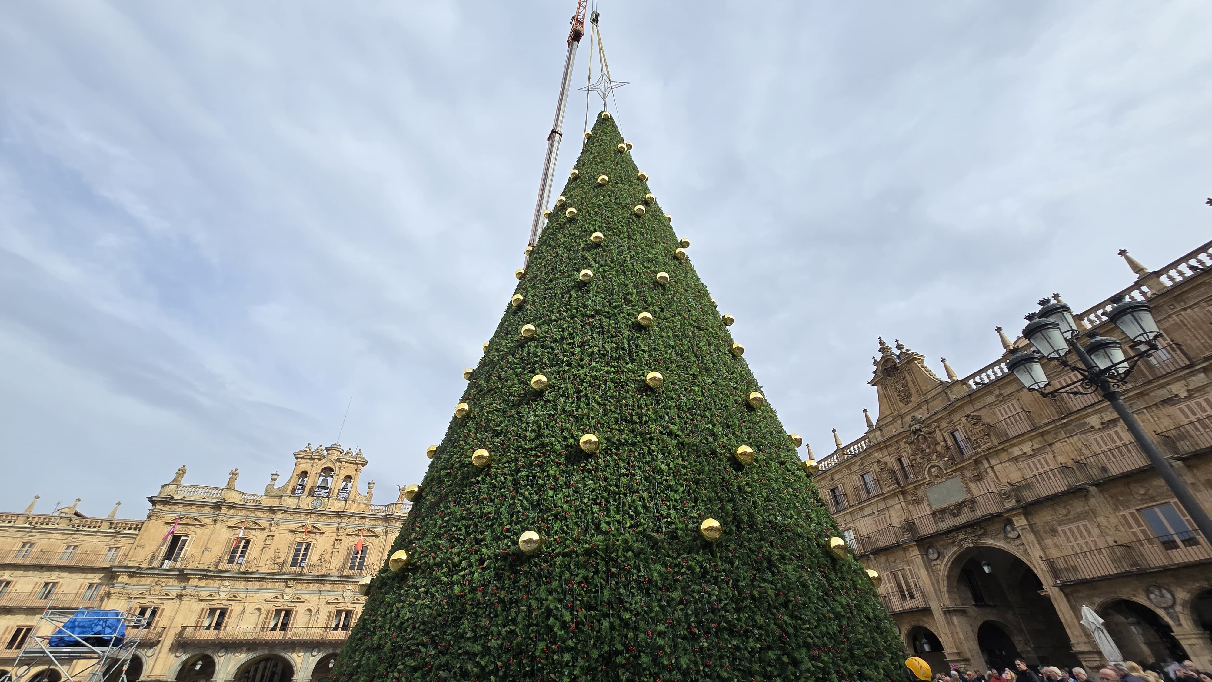 GALERÍA | El enorme árbol de Navidad ya viste la Plaza Mayor de Salamanca