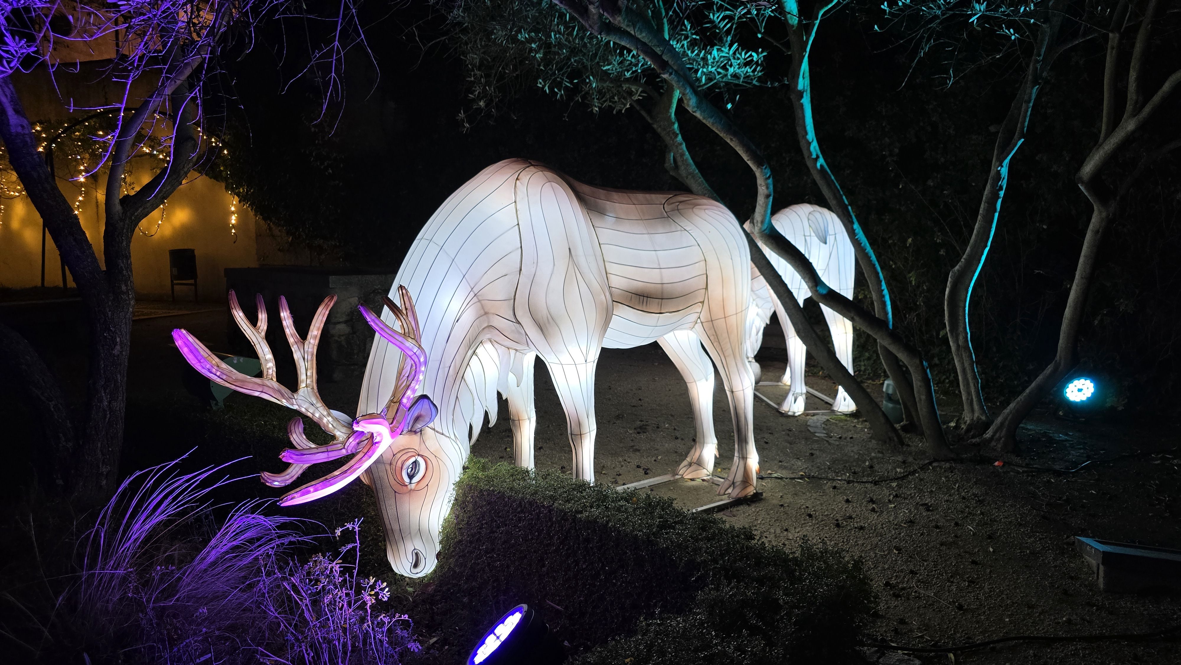 ‘La senda de los animales del Hielo’