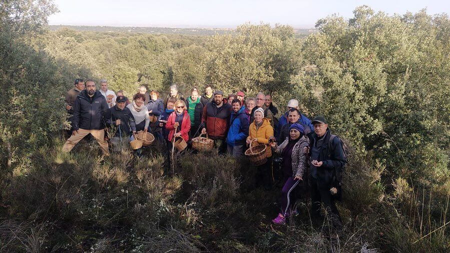 Jornada micológica en Alba de Tormes