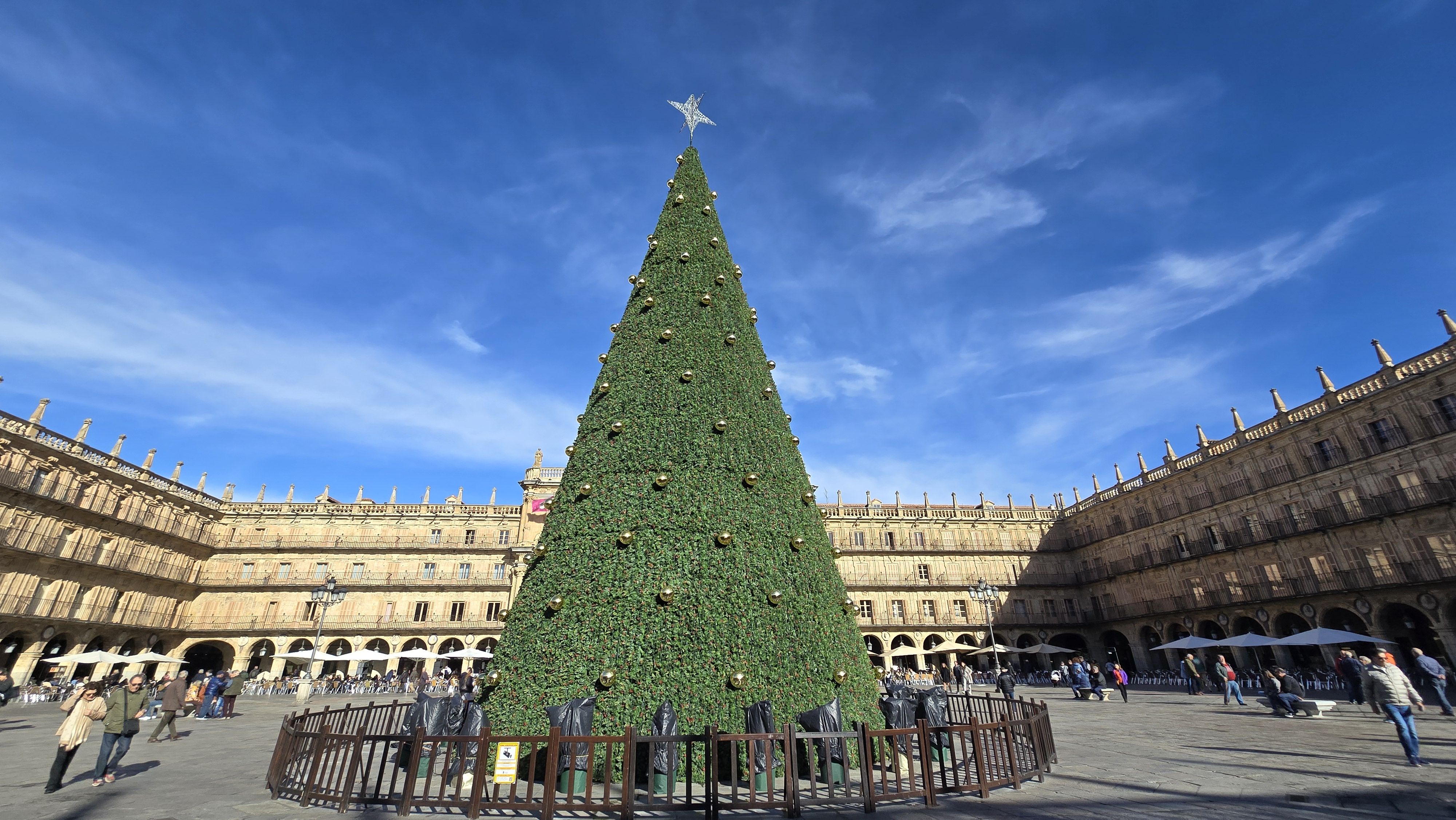 ARBOL DE NAVIDAD DE LA PLAZA