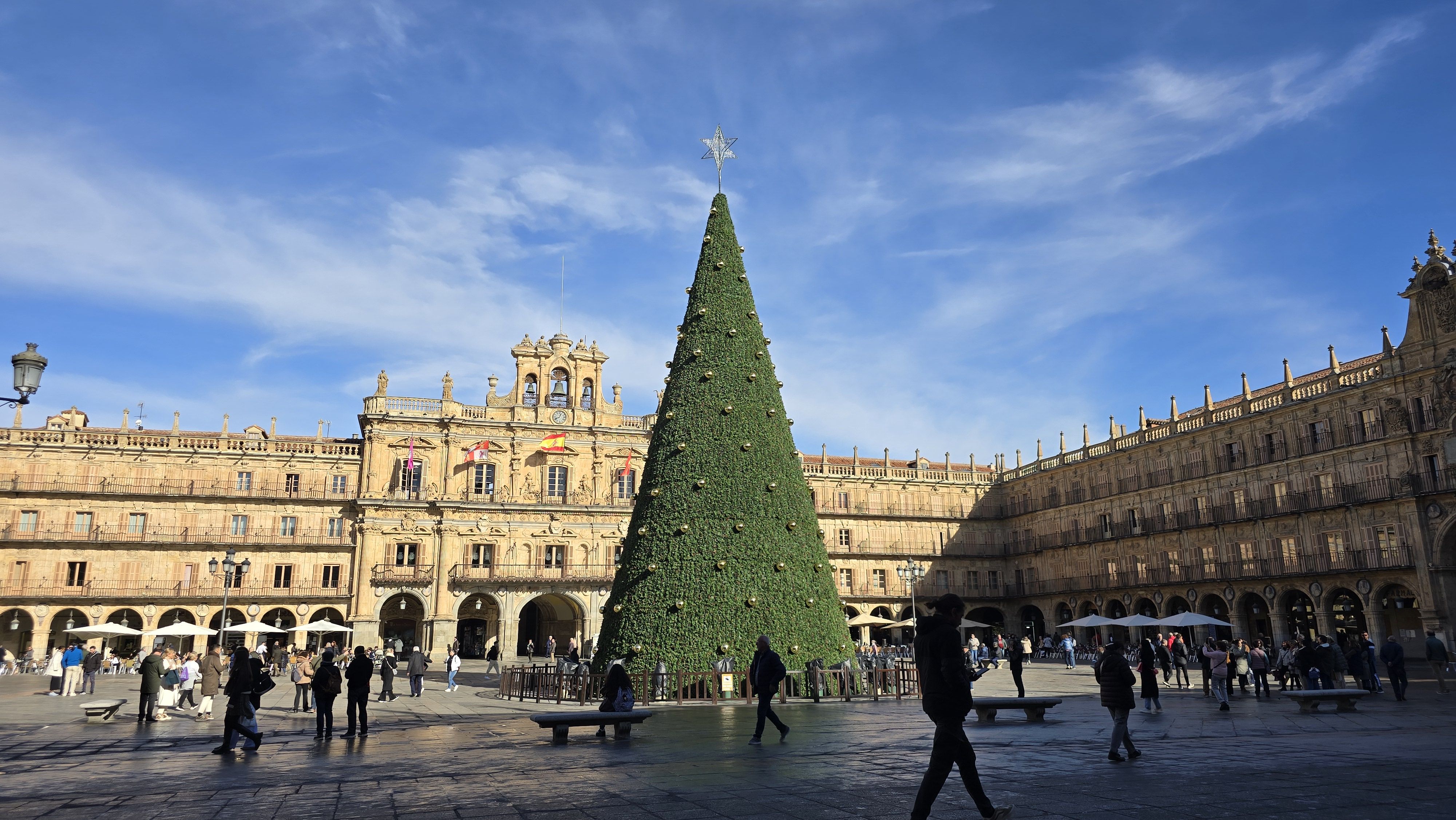 ARBOL DE NAVIDAD DE LA PLAZA