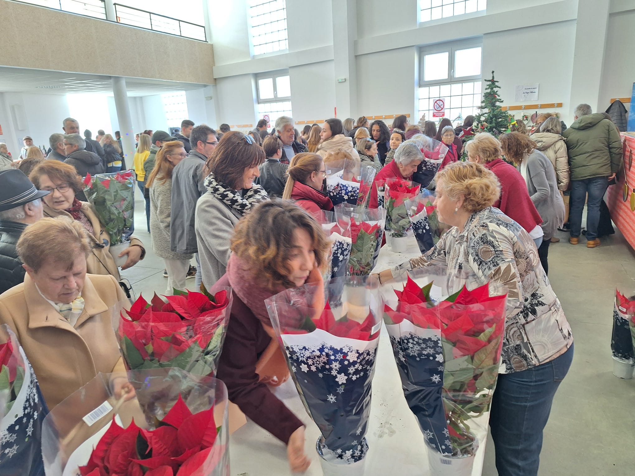 II Mercadillo navideño solidario de Villoria