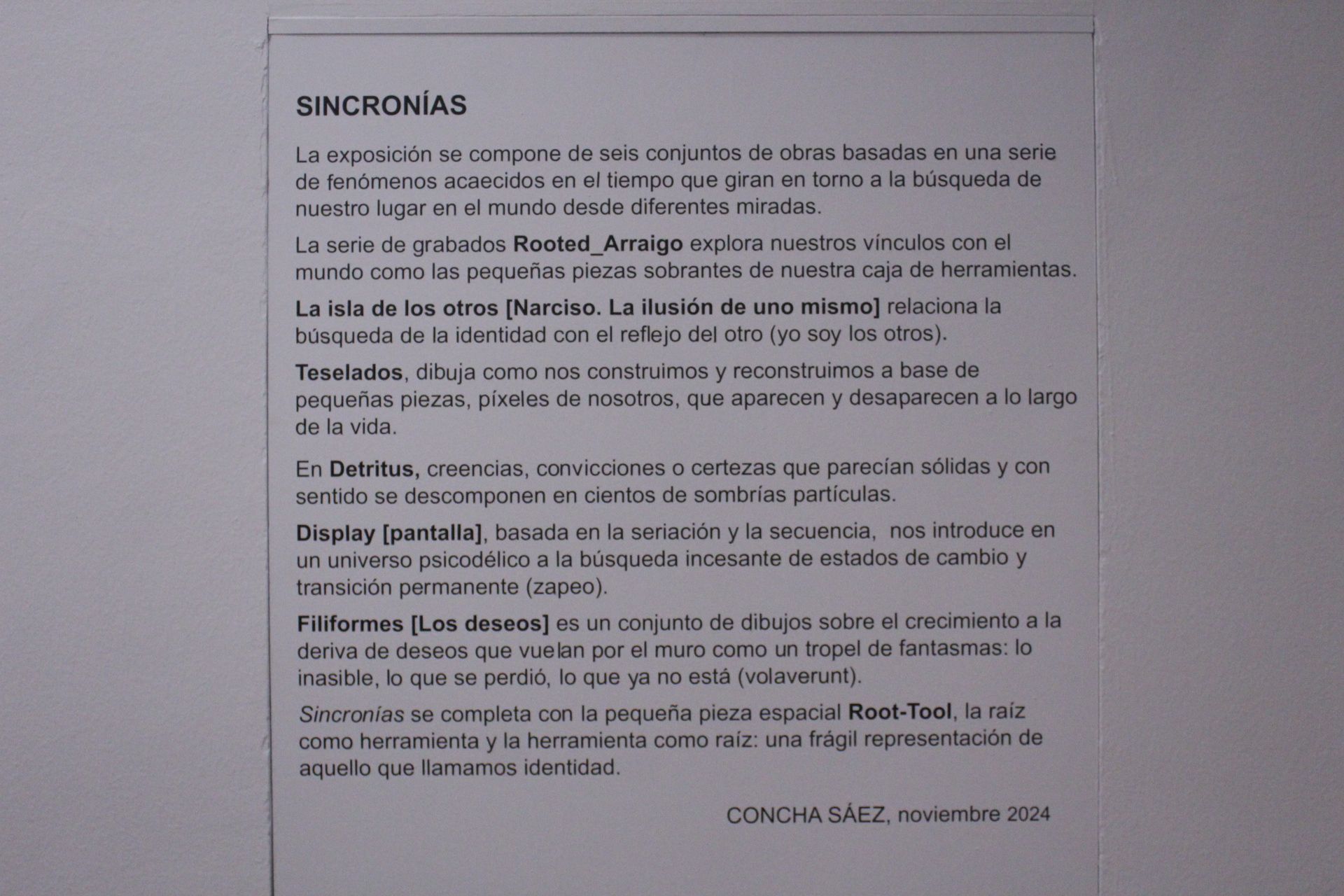 Exposición "Sincronías"