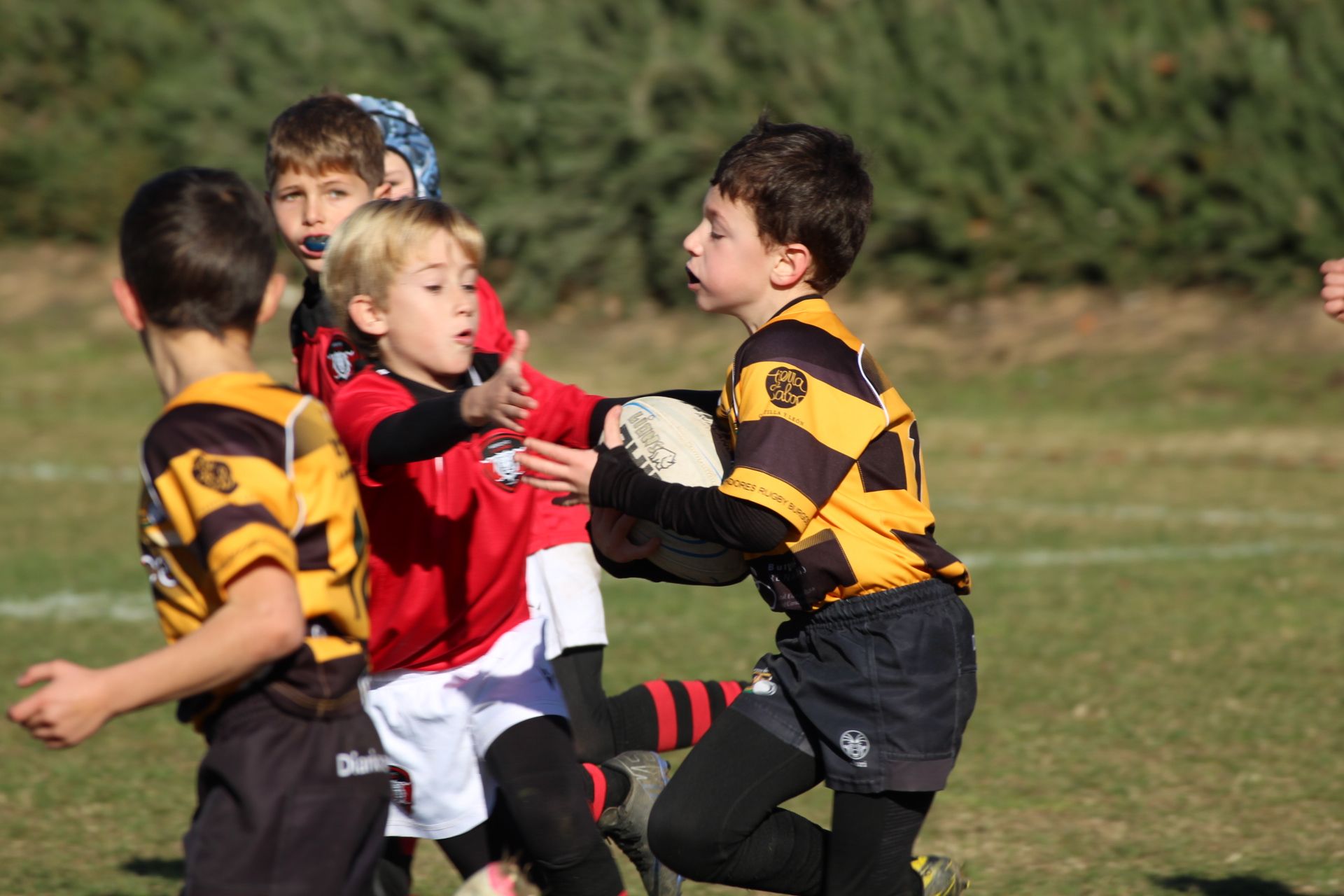 Festival de Escuelas de Rugby M6 a M12