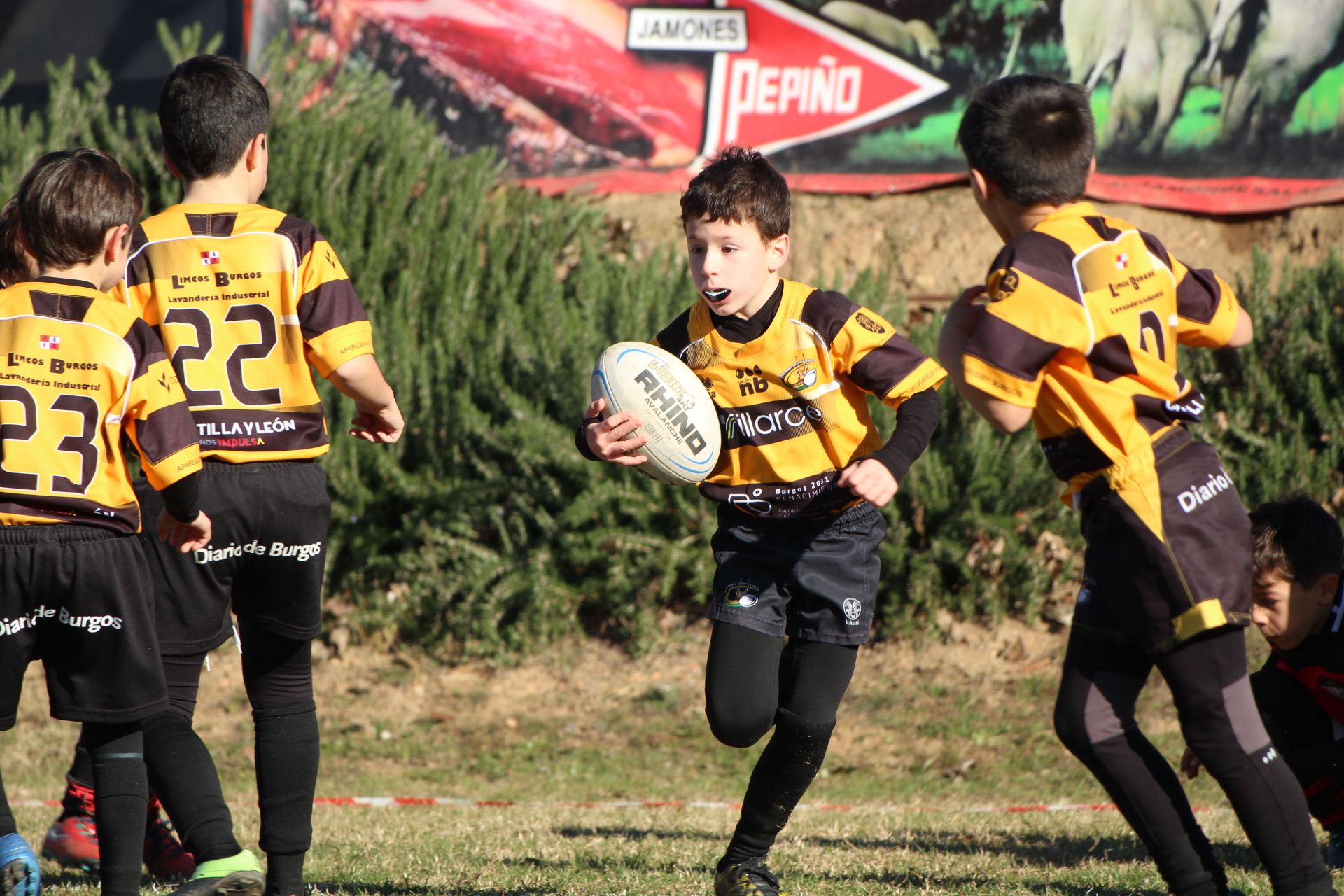 Festival de Escuelas de Rugby M6 a M12