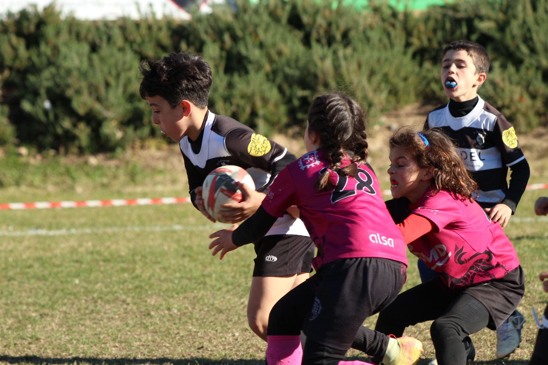 Festival de Escuelas de Rugby M6 a M12