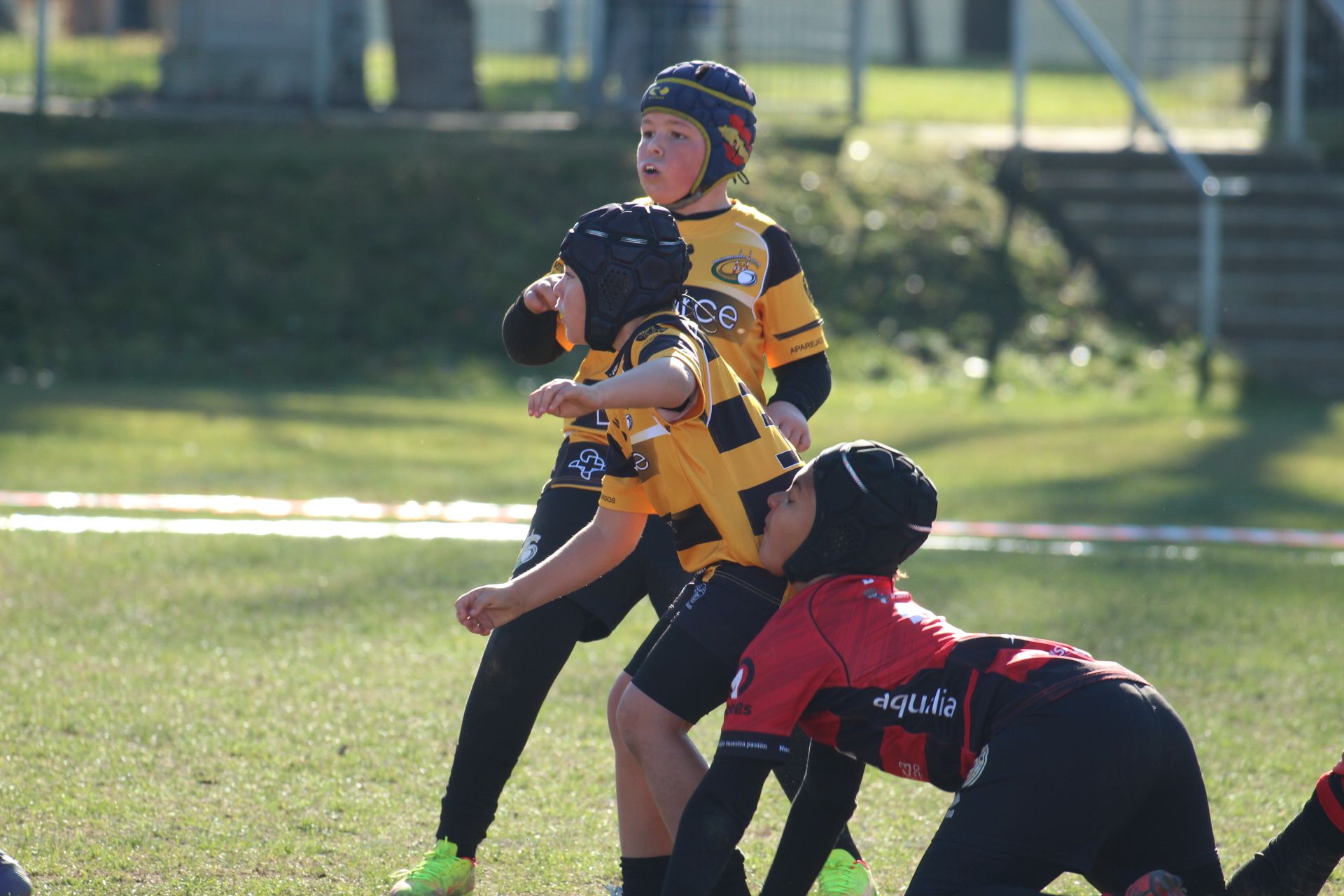 Festival de Escuelas de Rugby M6 a M12