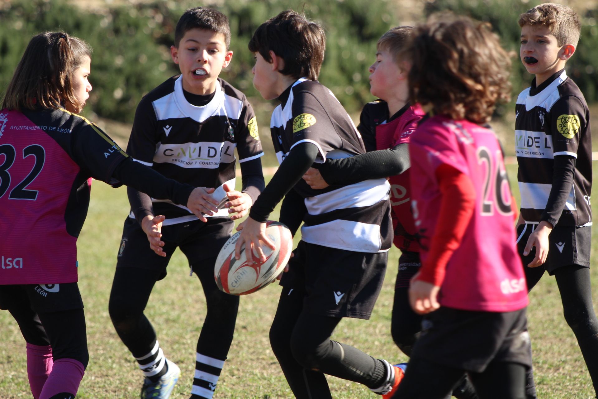 Festival de Escuelas de Rugby M6 a M12