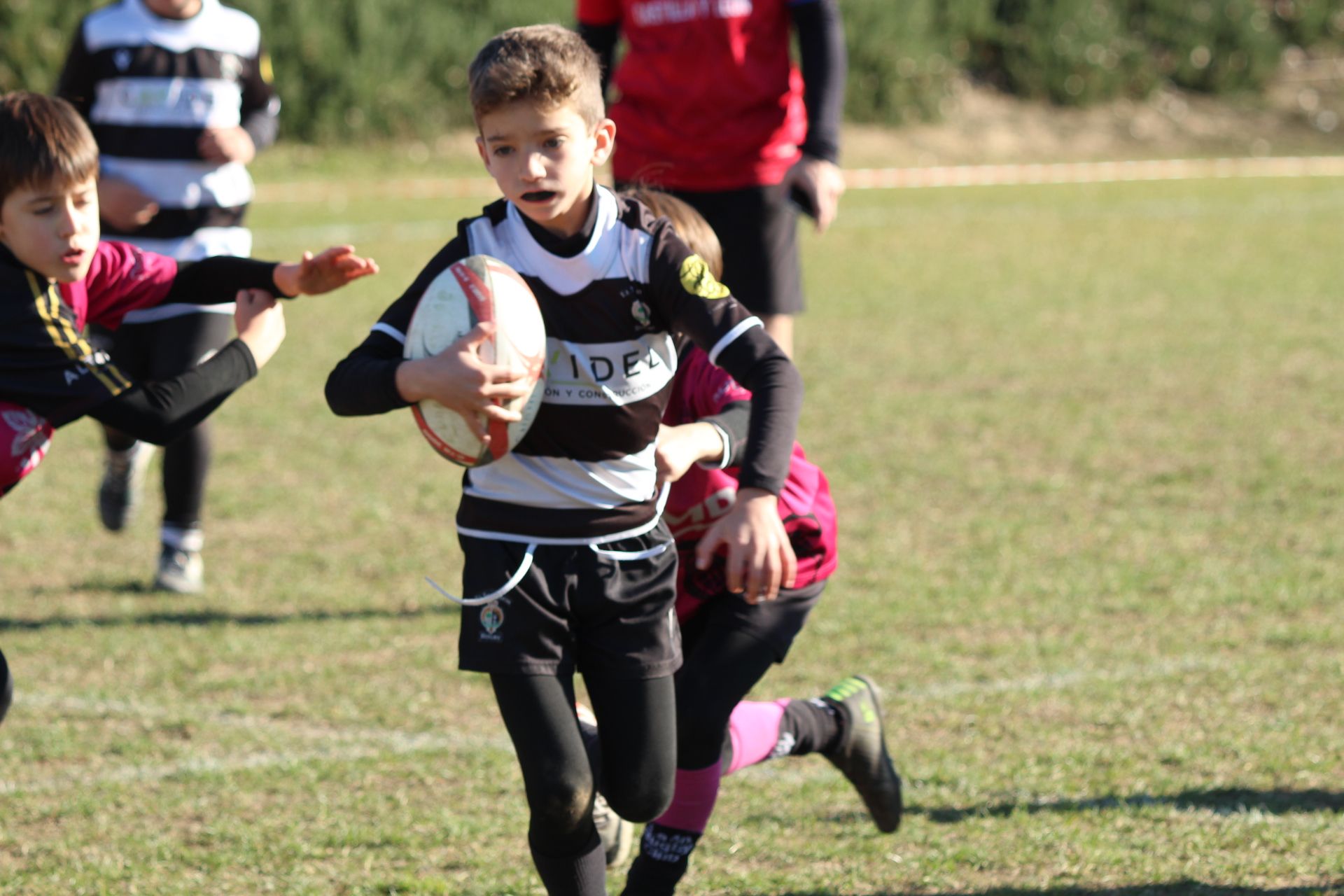 Festival de Escuelas de Rugby M6 a M12