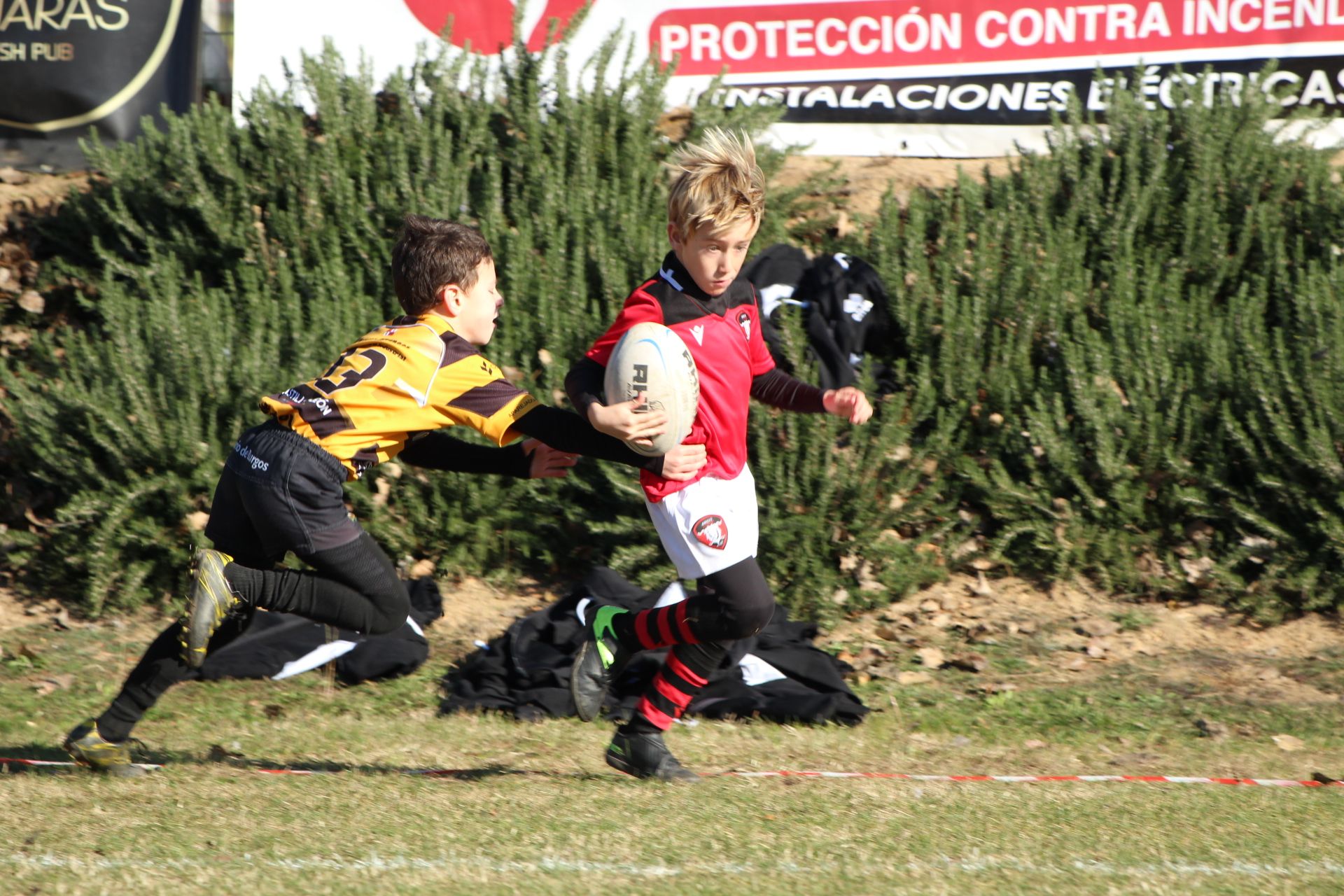 Festival de Escuelas de Rugby M6 a M12