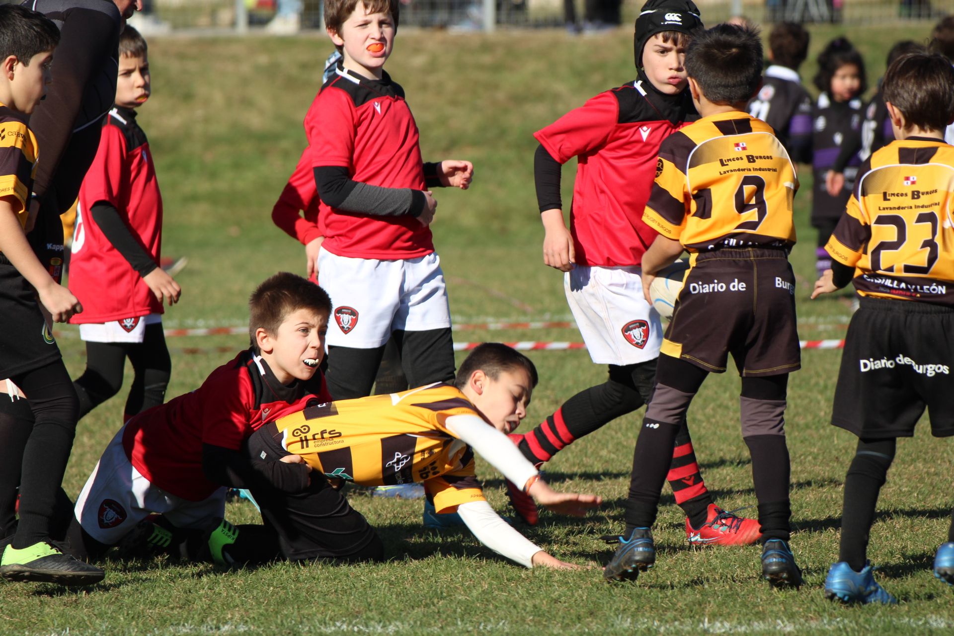 Festival de Escuelas de Rugby M6 a M12