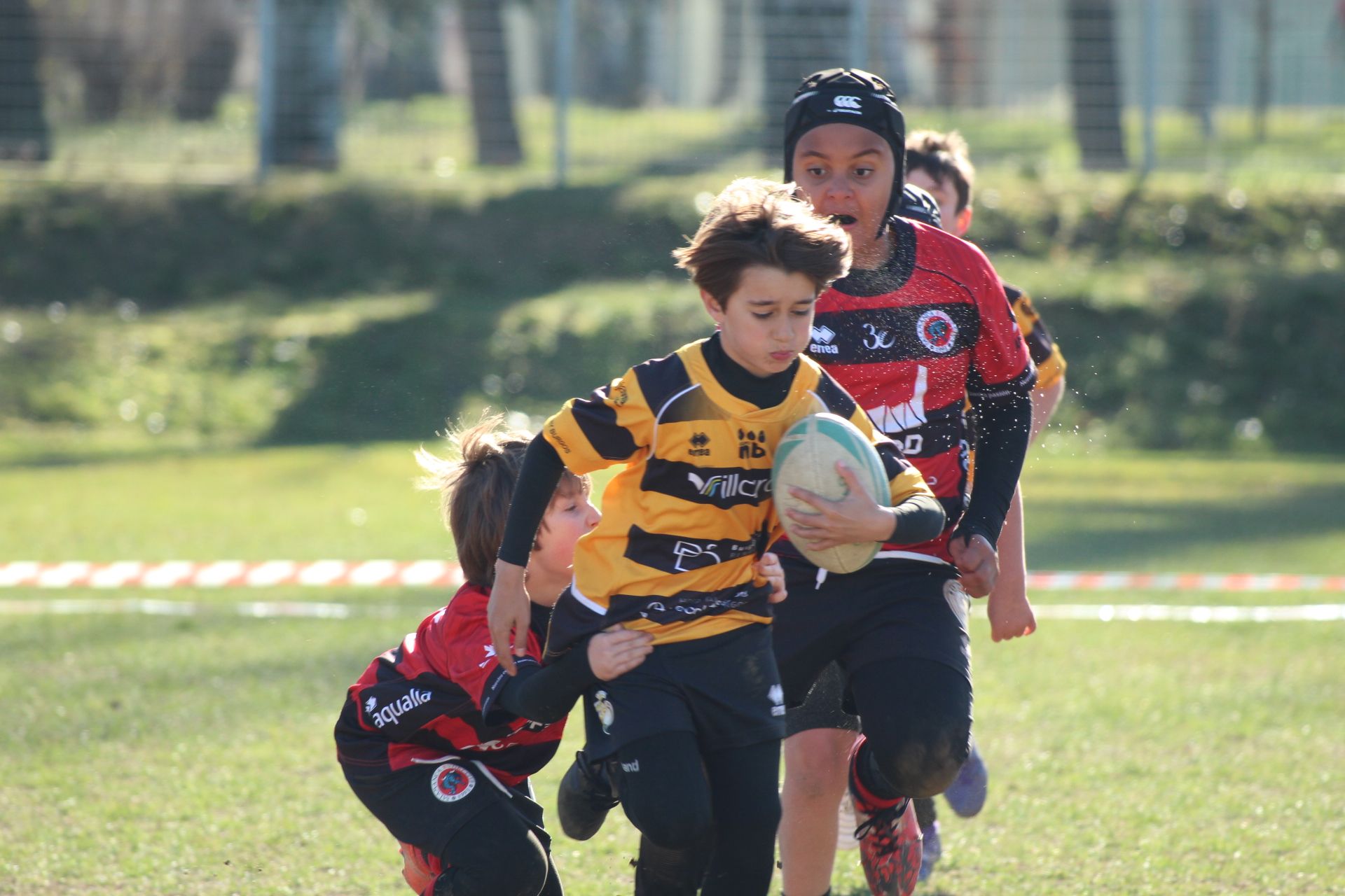 Festival de Escuelas de Rugby M6 a M12