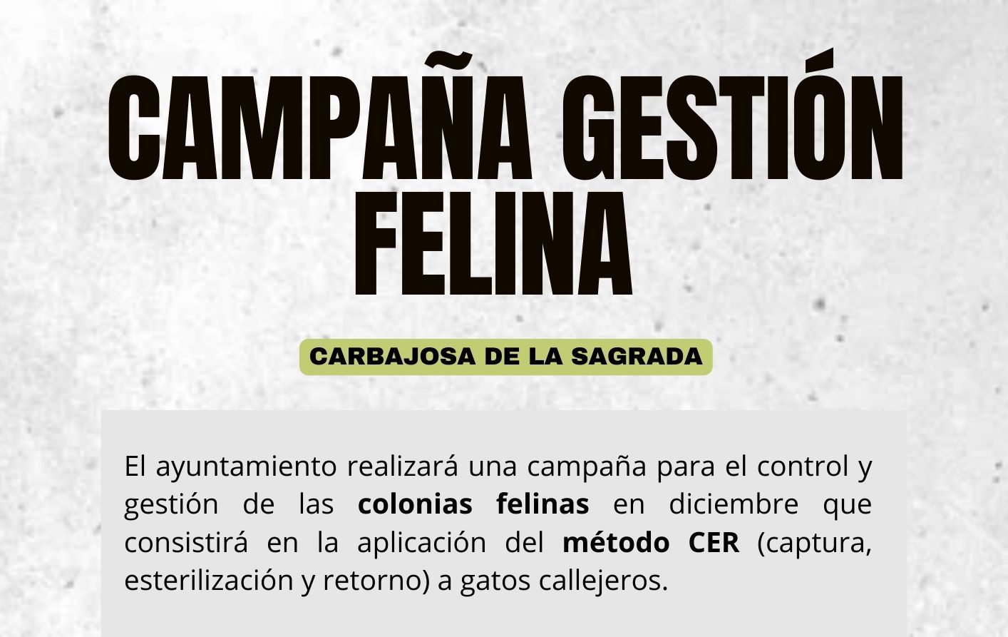 Campaña colonias felinas  (1)