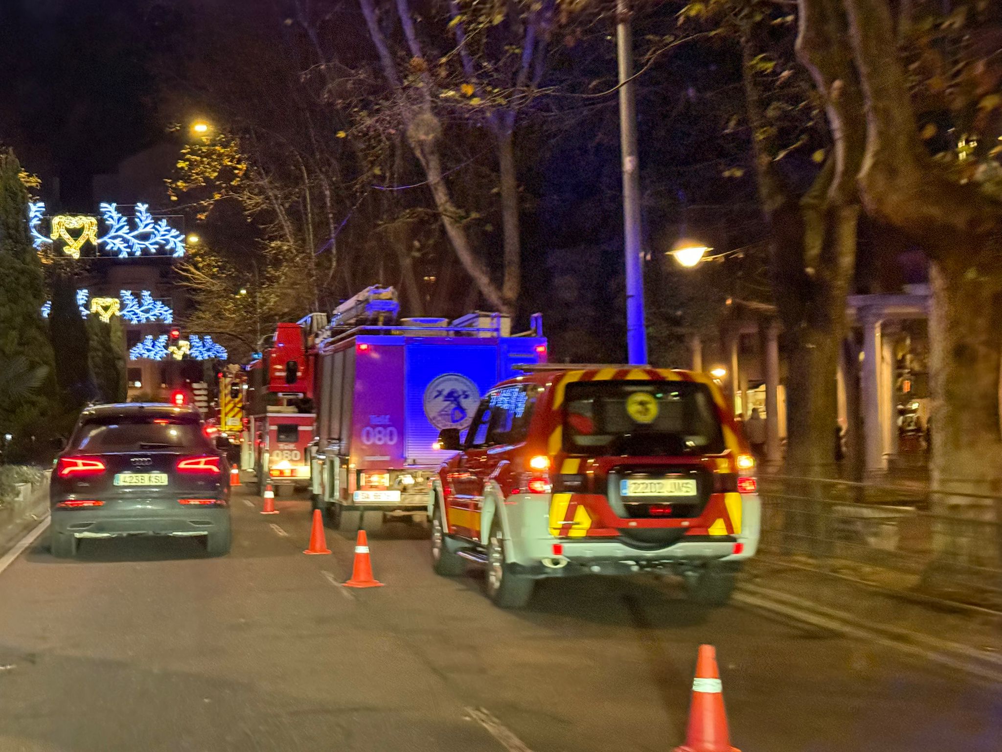 Bomberos en una actuación en el paseo de Carmelitas