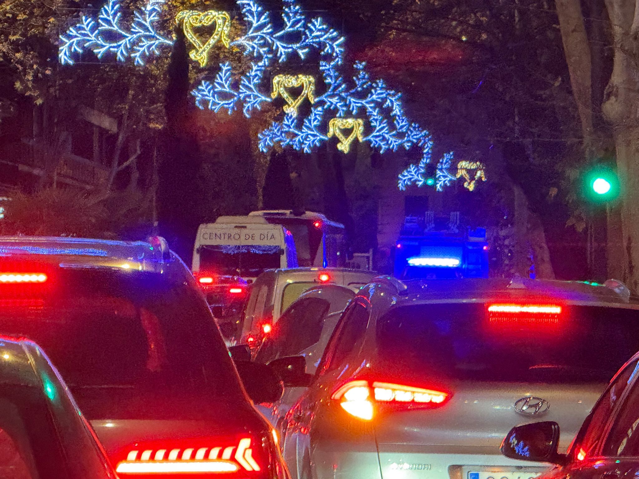 Bomberos en una actuación en el paseo de Carmelitas