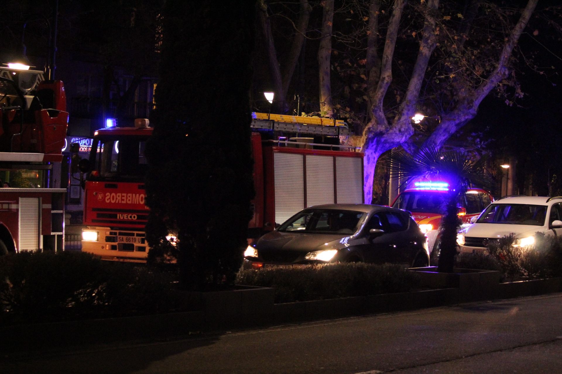 Bomberos en una actuación en el paseo de Carmelitas