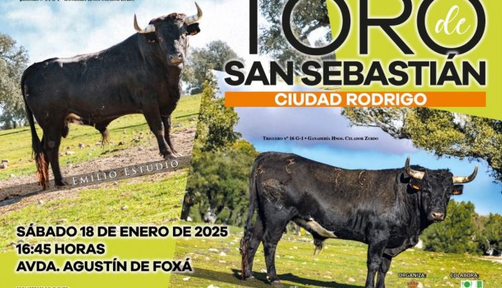 Cartel IV Toro San Sebastián 2025