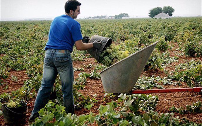 Joven agricultor. Foto EP