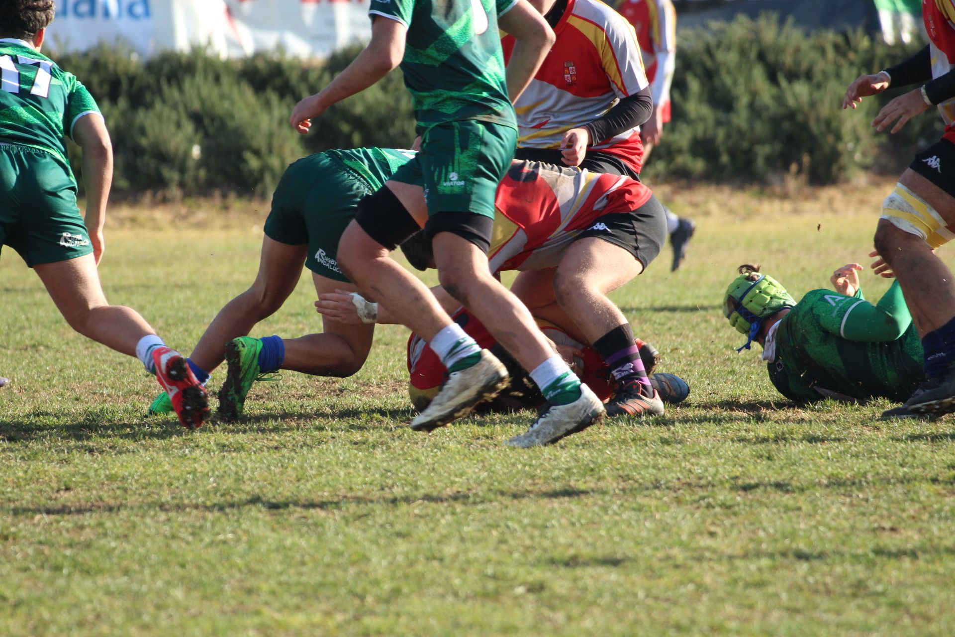 Campeonato de España de Selecciones Autonómicas en Primera División