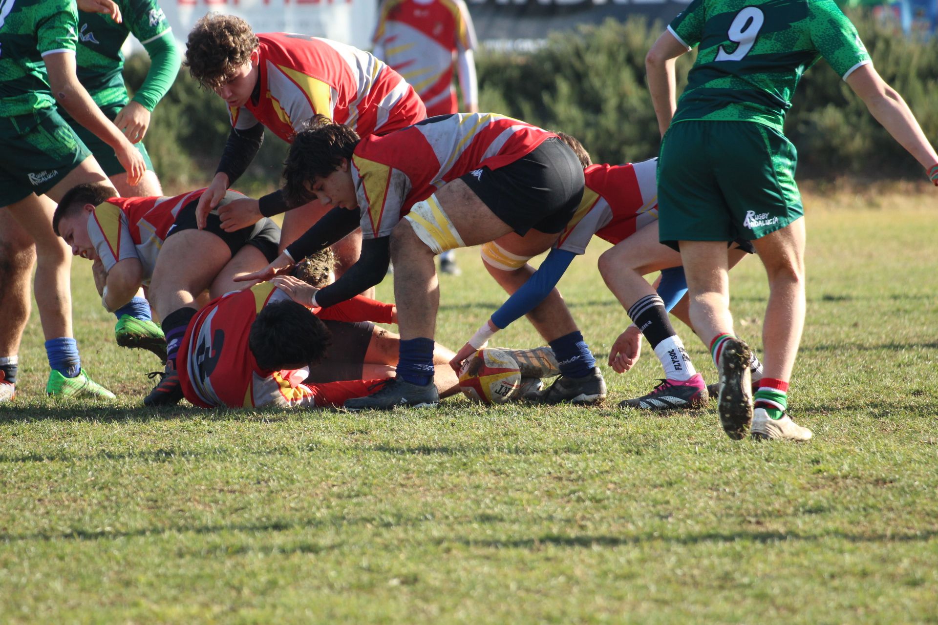 Campeonato de España de Selecciones Autonómicas en Primera División