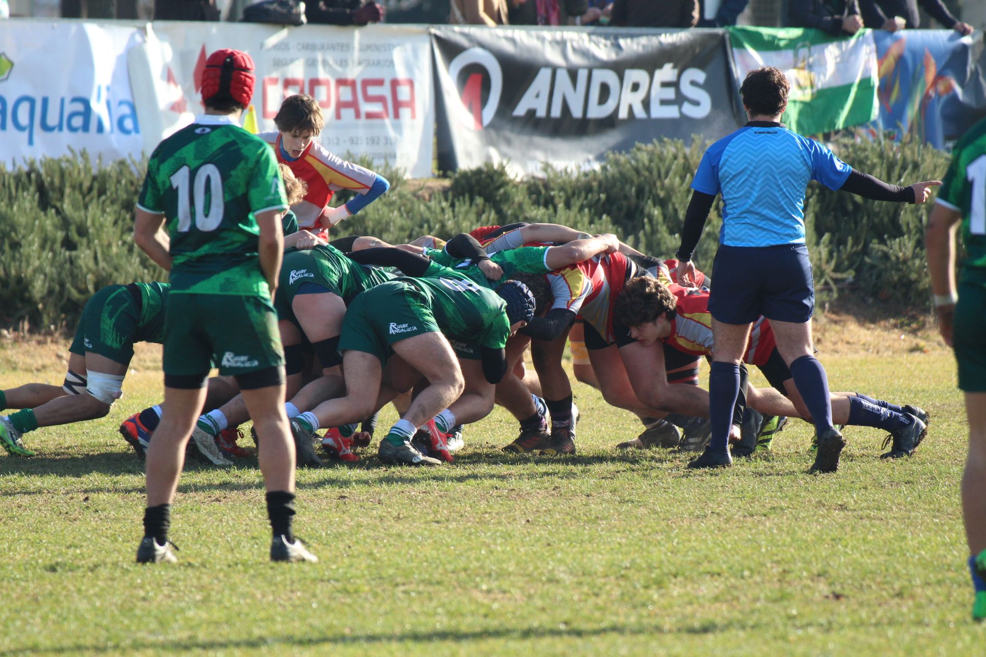 Campeonato de España de Selecciones Autonómicas en Primera División