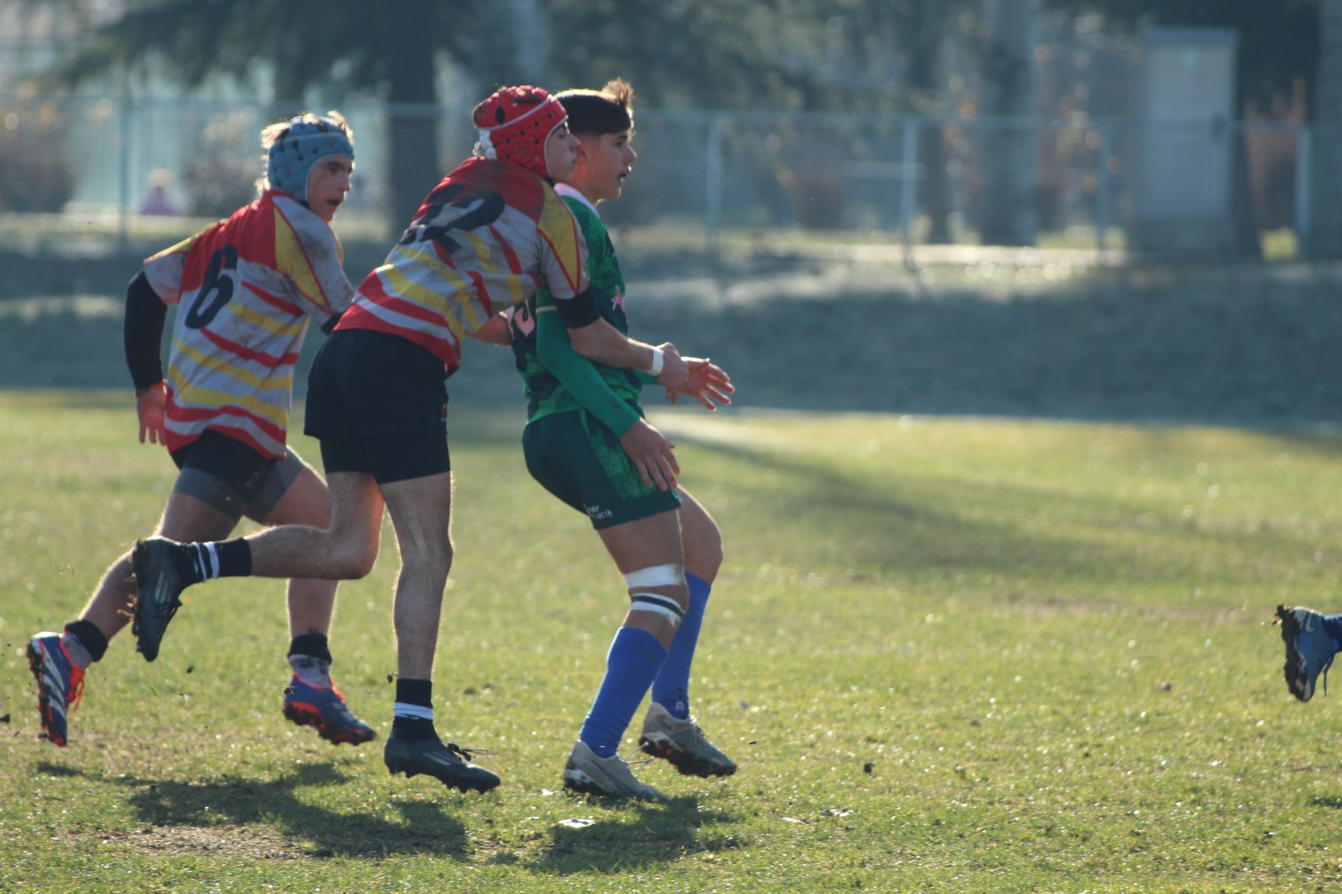 Campeonato de España de Selecciones Autonómicas en Primera División