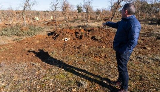 Miriam Chacón - Manuel, técnico de la Junta de Castilla y León, muestra el orifico de entrada de uno de los majanos (madrigueras para conejos) instalados en el cerco para ejemplares de lince ibérico en Astudillo (Palencia)