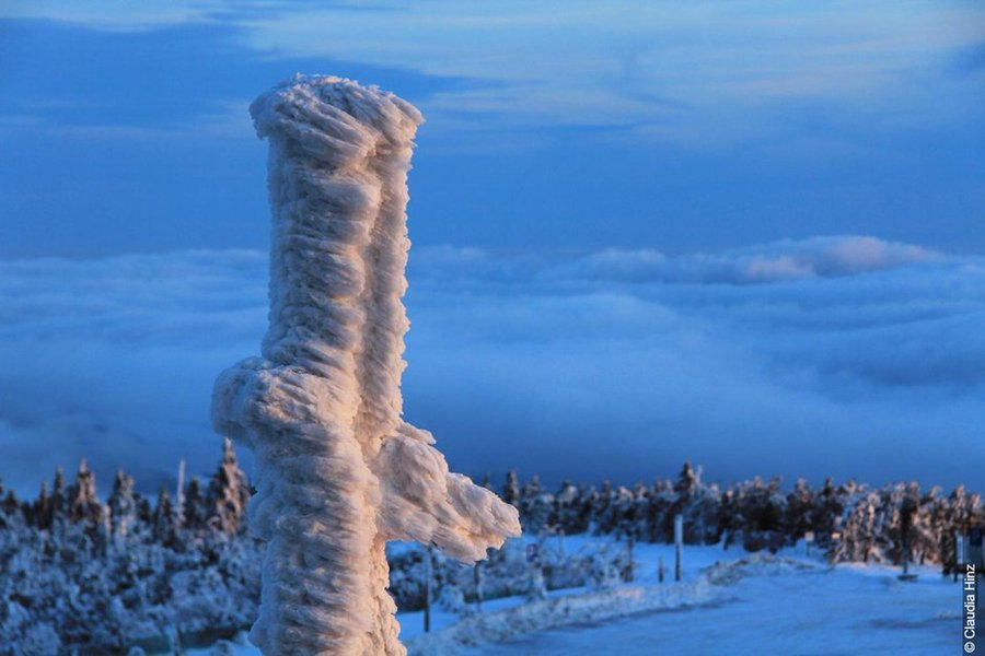 Imagen de la cencellada. Foto Claudia Hinz | @AEMET_Divulga