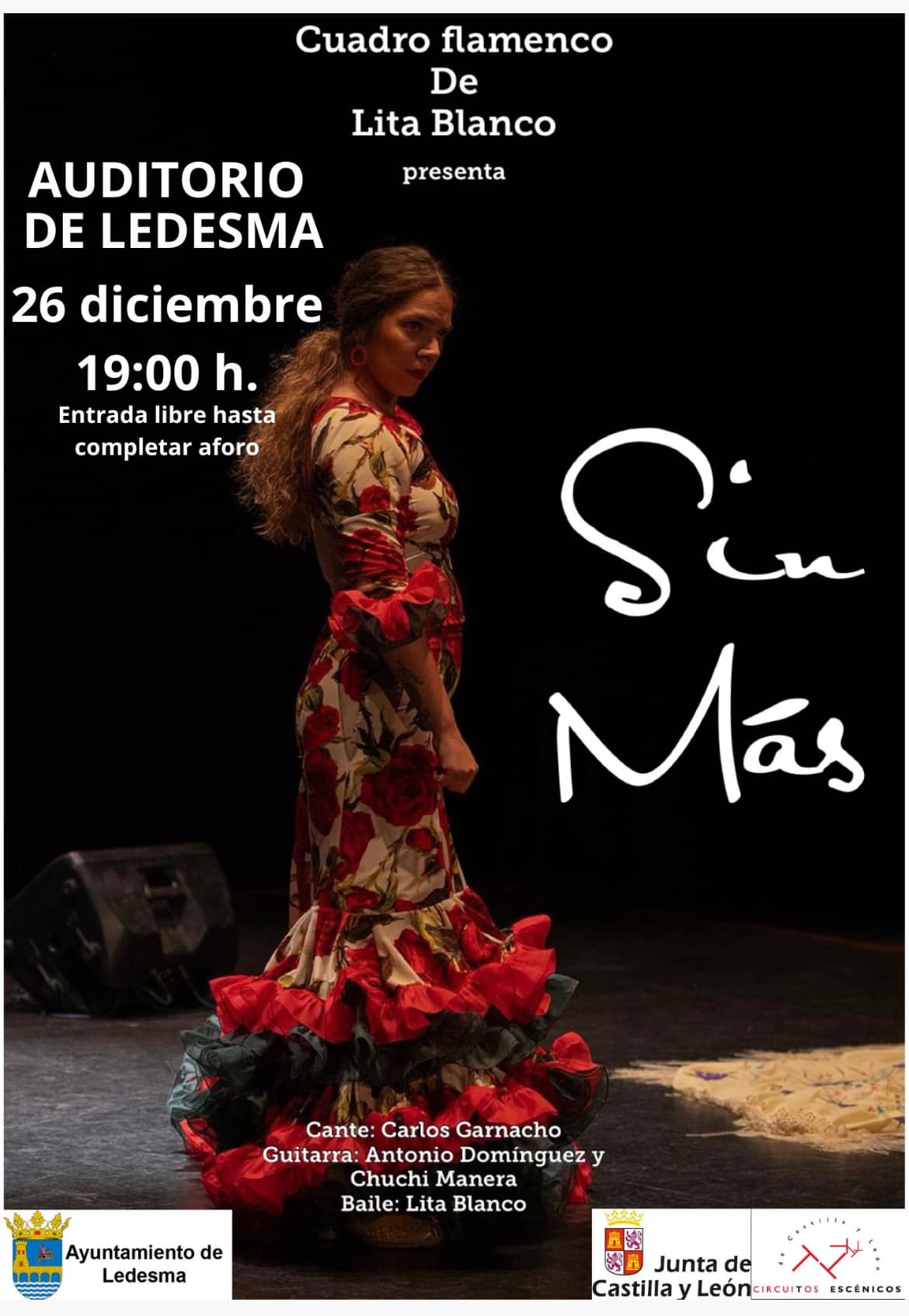 Cuadro de flamenco de Lita Blanco en Ledesma