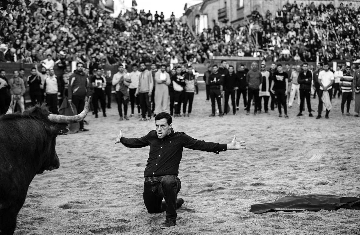 Imagen premiada de Jordi Cohen