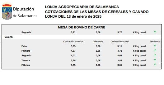 Mesa de bovino de carne lonja 13 de enero 2025 1 