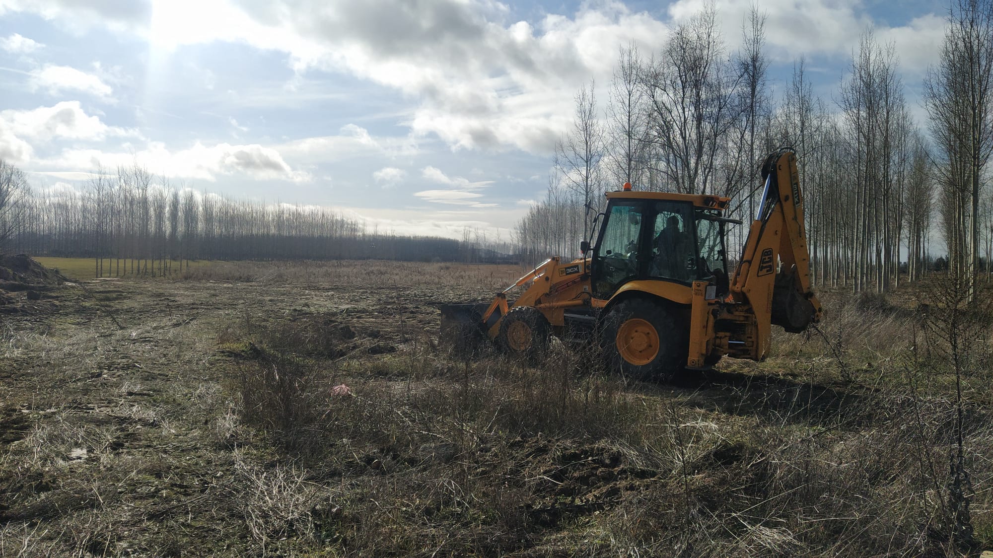 Comienza la preparación del terreno para instalar un observatorio de aves en Alba de Tormes